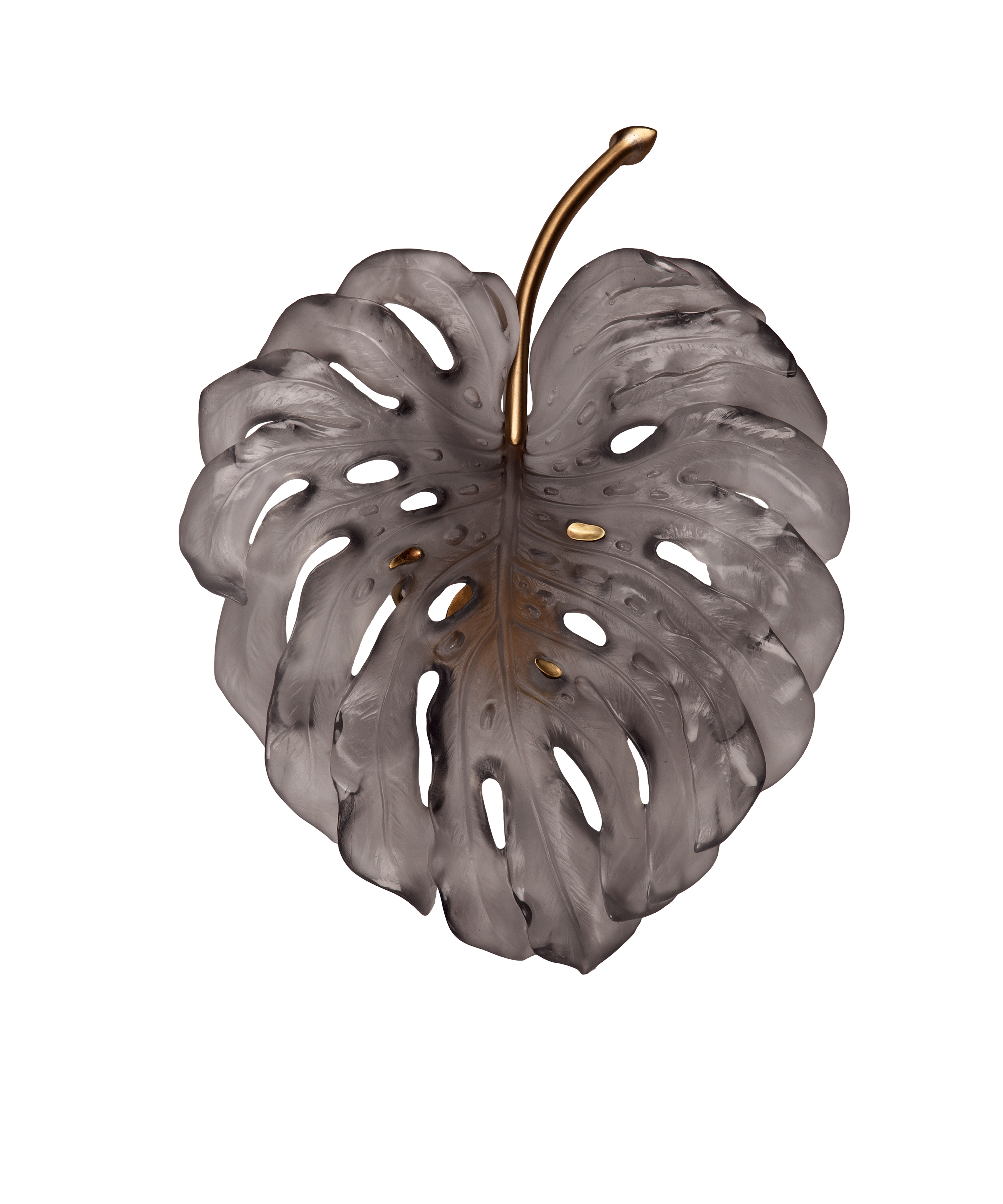 Monstera Applique petit modèle Grise de Emilio Robba