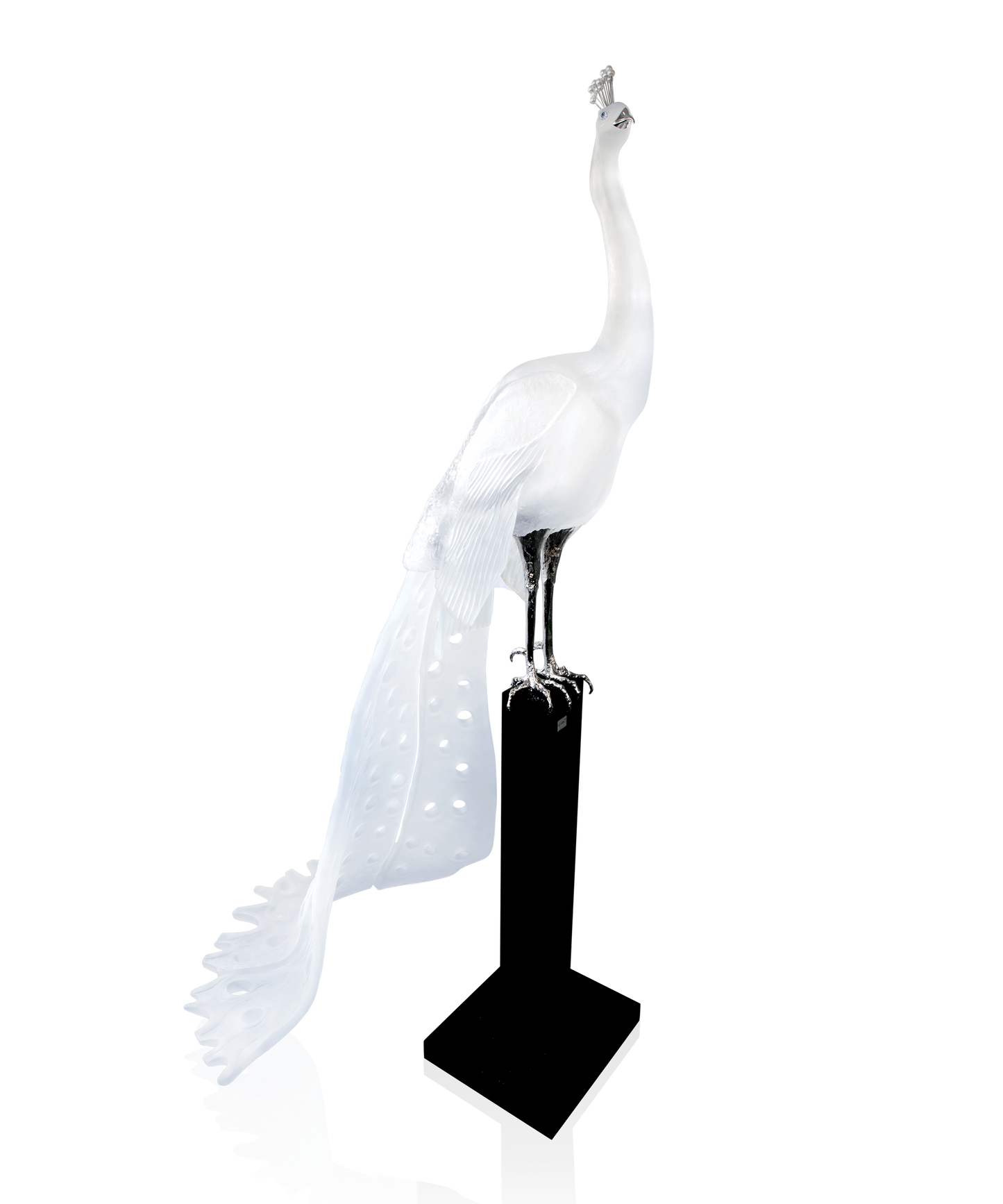 Paon White by Madeleine Van der Knoop 8ex