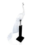 Paon White by Madeleine Van der Knoop 8ex