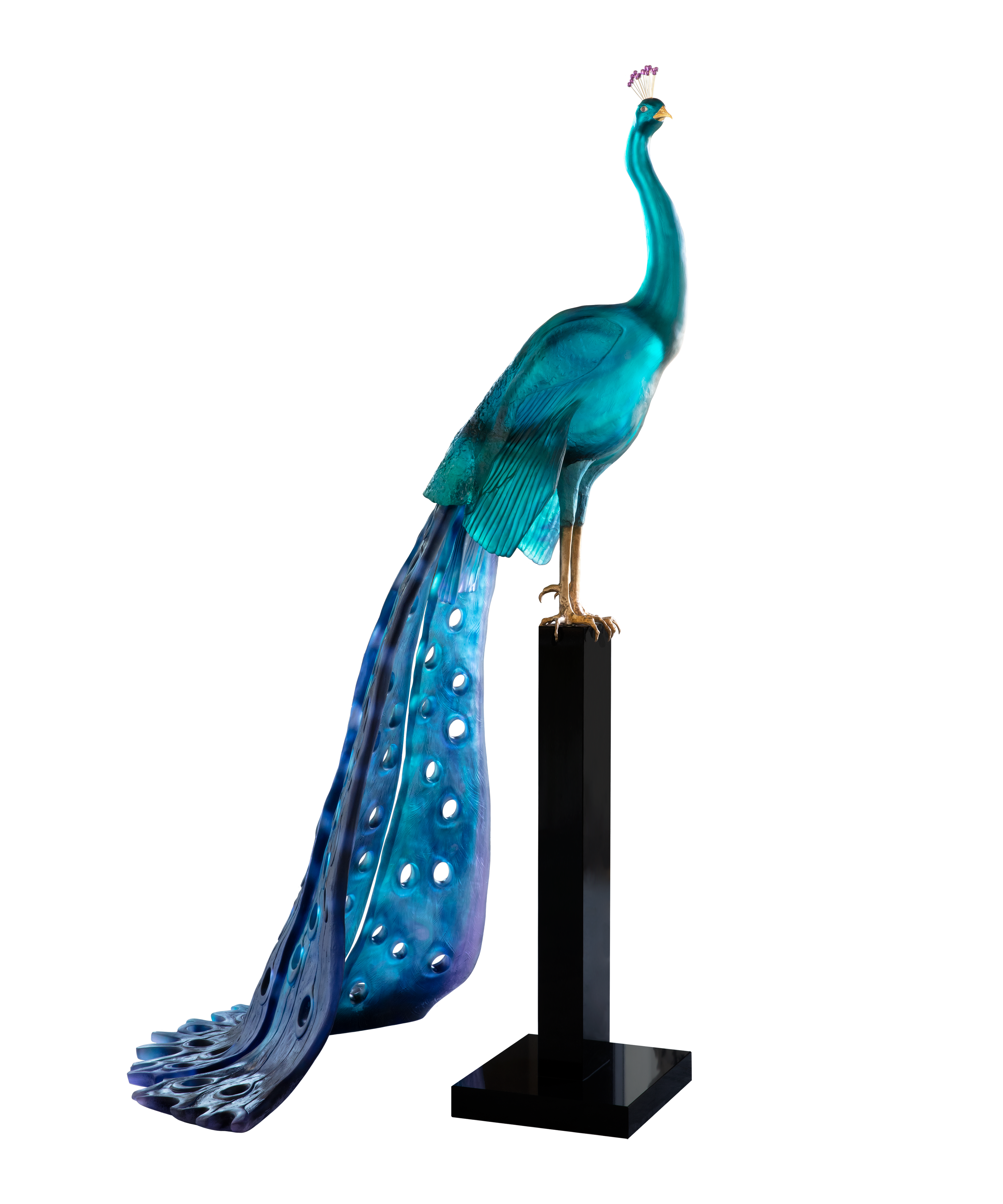 Paon Tropical de Madeleine Van der Knoop 8ex