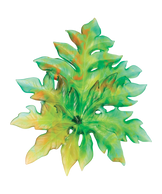 Bornéo Large wall leaf Green by Emilio Robba