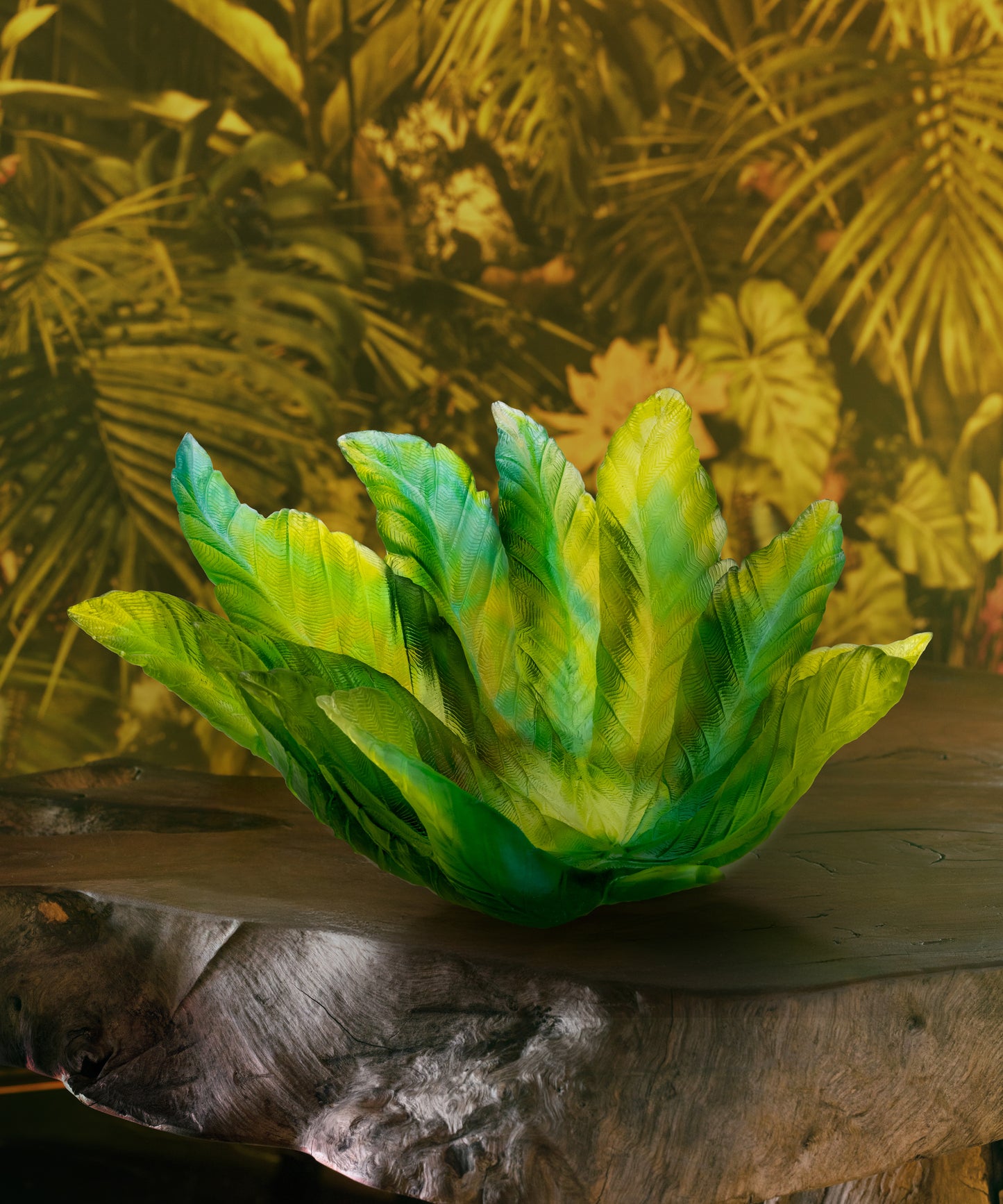 Bornéo Coupe de Emilio Robba 375ex