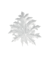 Bornéo Feuille murale petit modèle - fixation longue Blanche de Emilio Robba