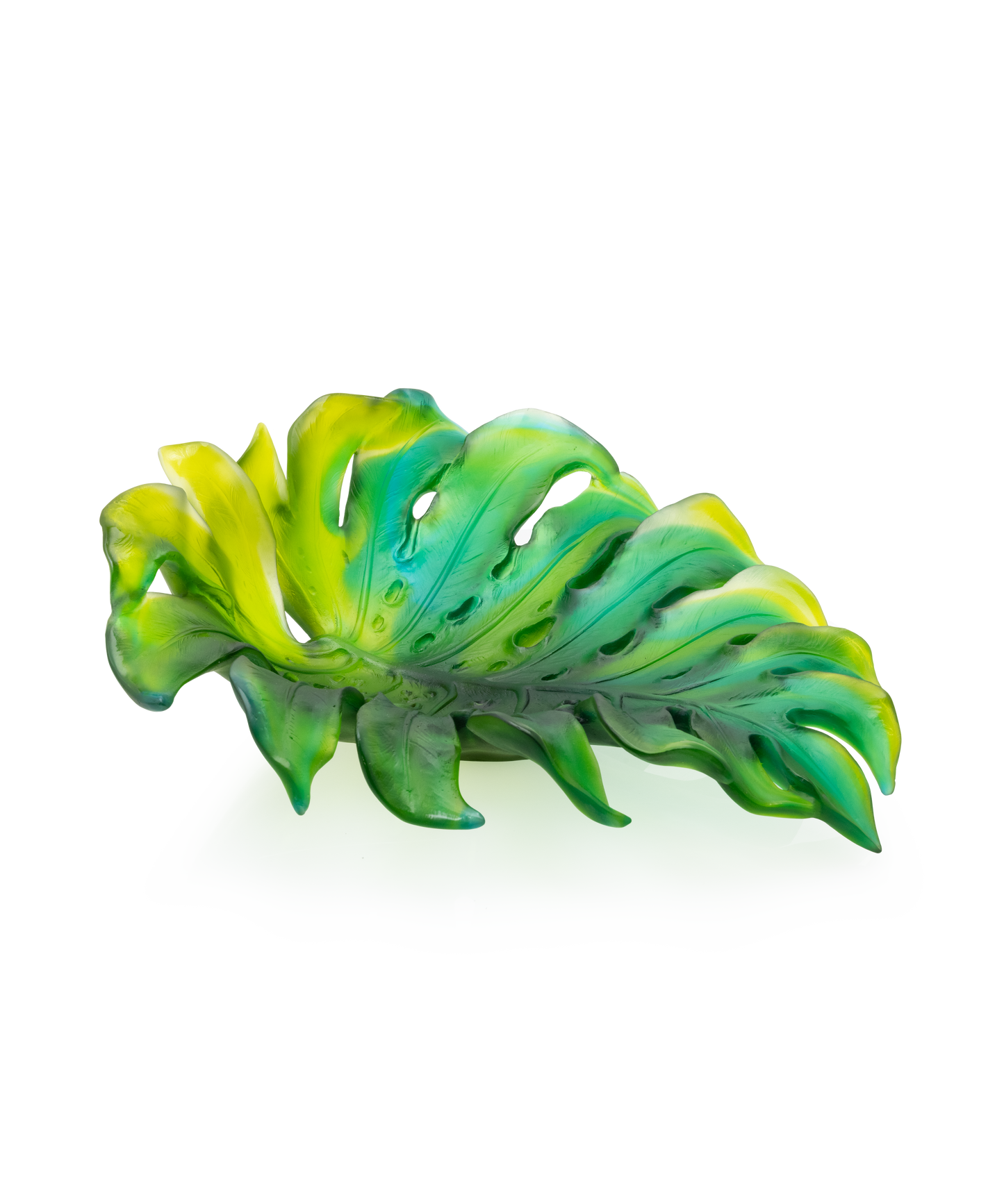 Monstera Coupe moyen modèle de Emilio Robba 375ex