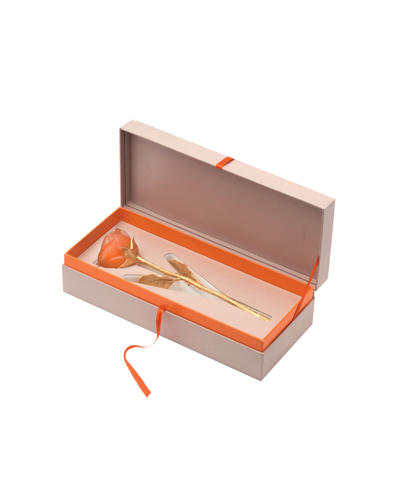 Rose Eternelle Orange