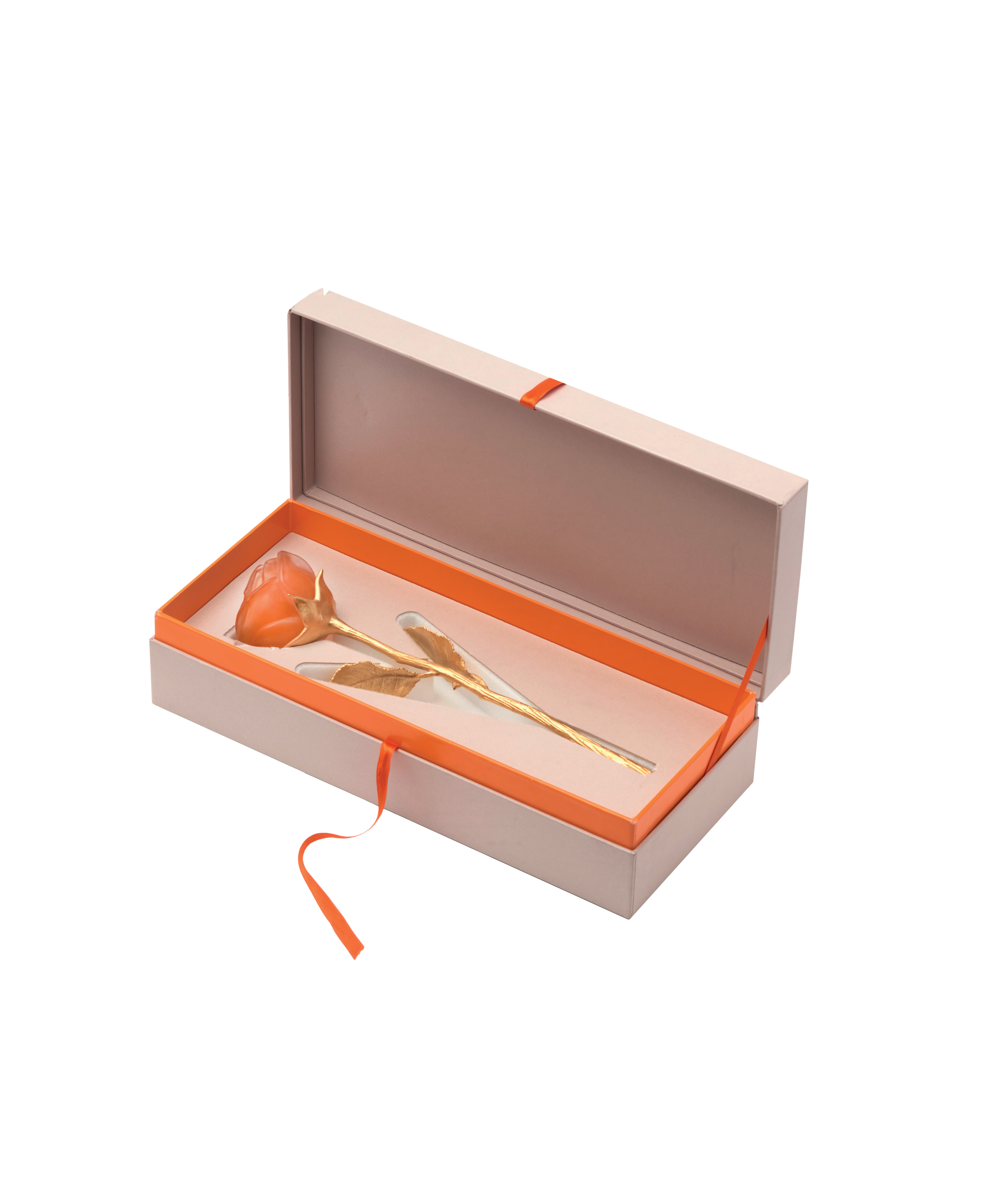 Rose Eternelle Orange