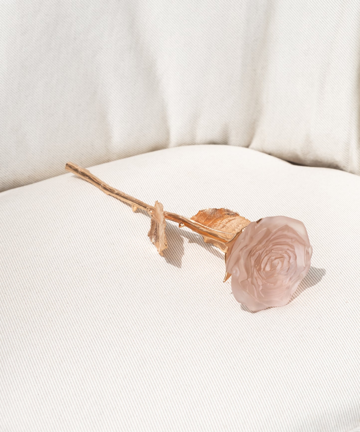 Rose Eternelle Rose poudré