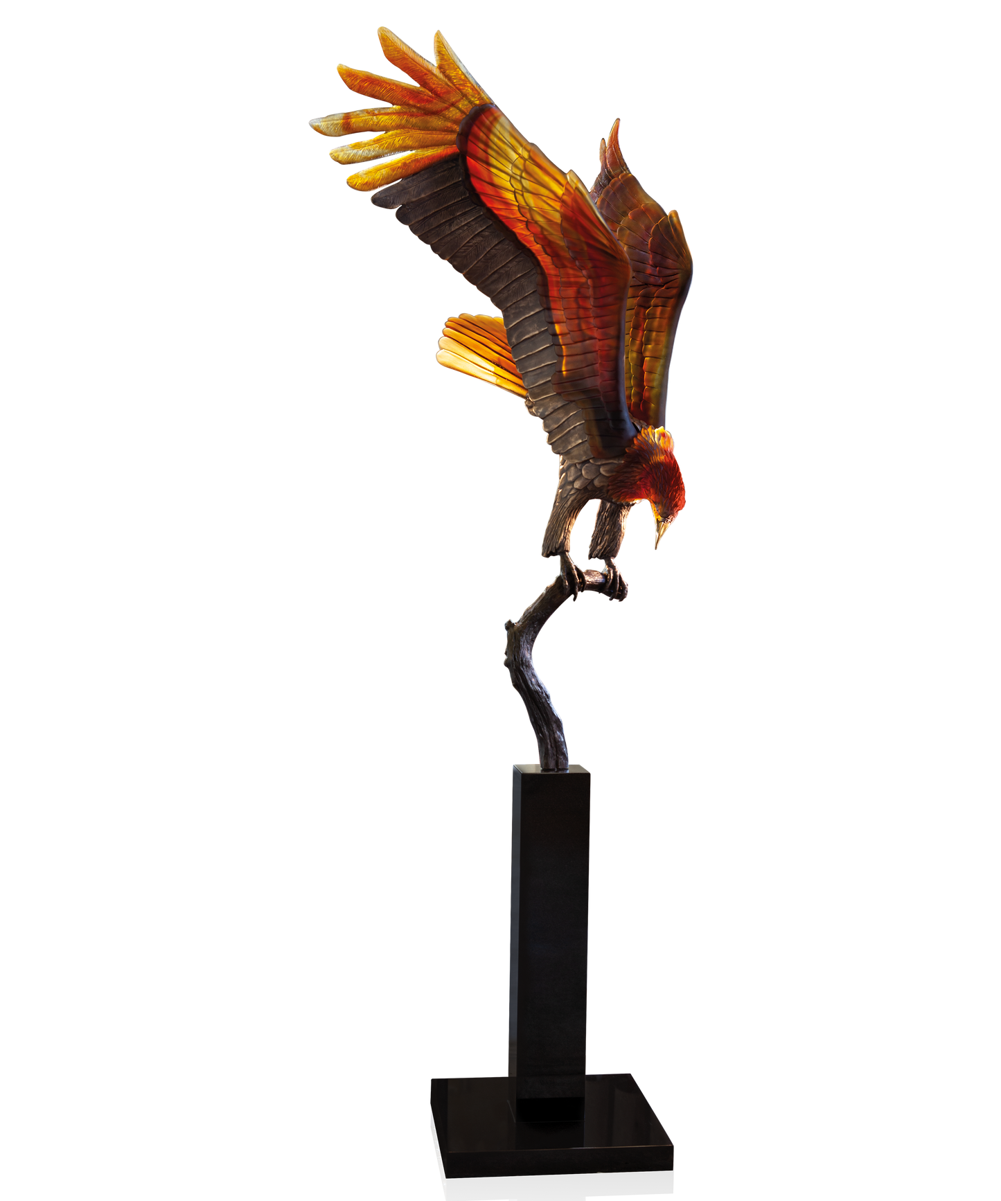 Aigle royal prestige de Madeleine Van der Knoop 8ex