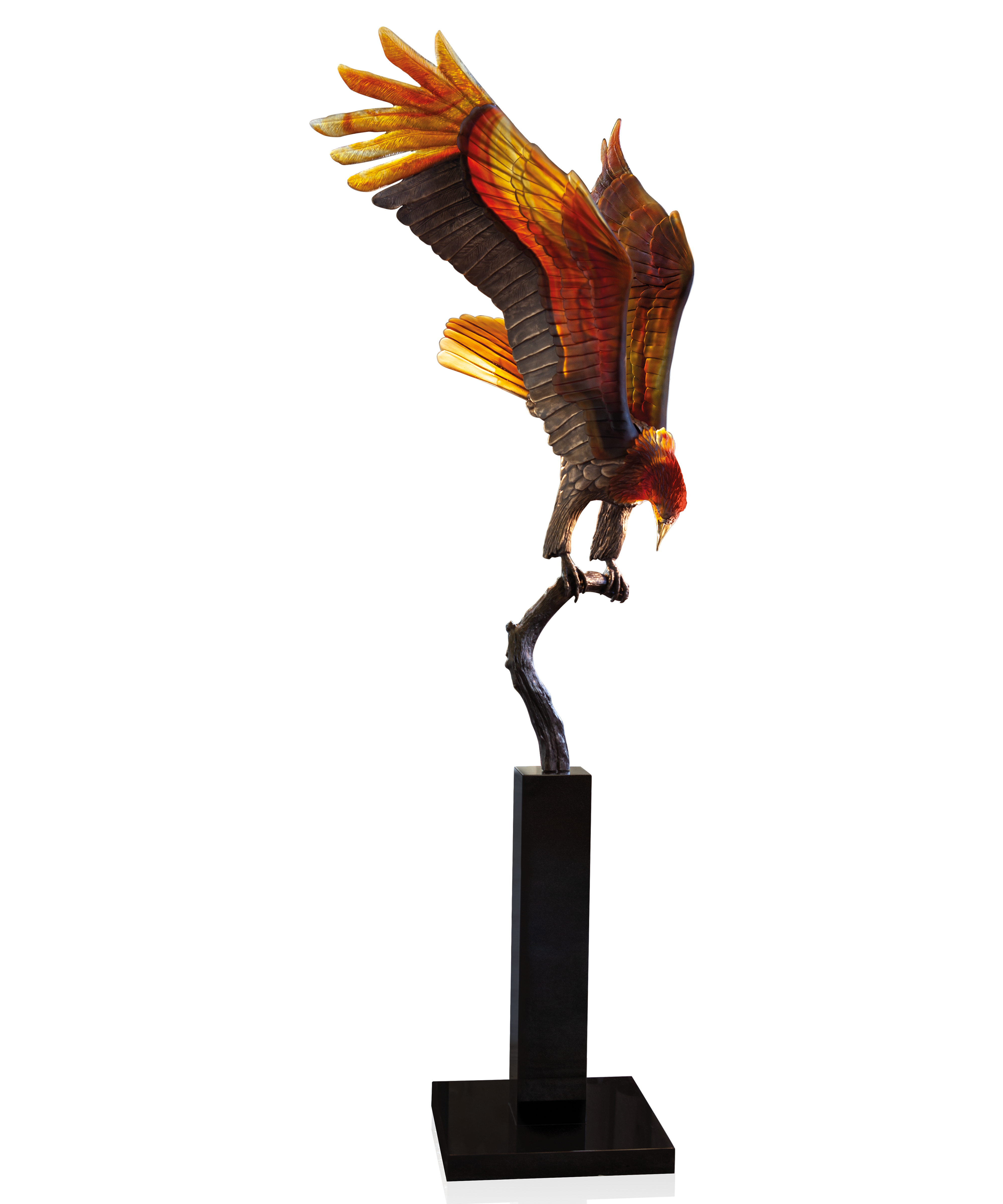 Aigle royal prestige de Madeleine Van der Knoop 8ex