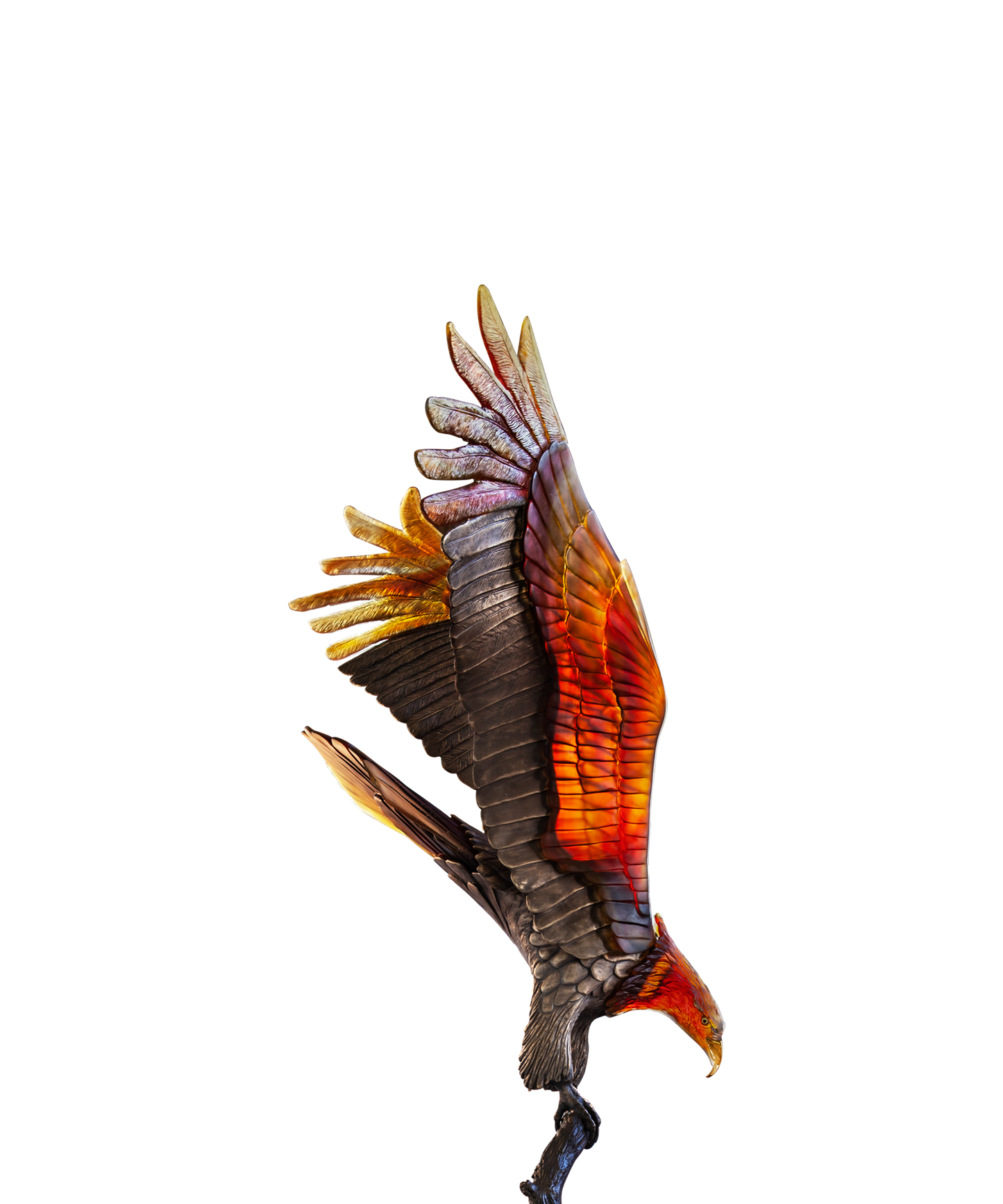 Aigle royal prestige de Madeleine Van der Knoop 8ex