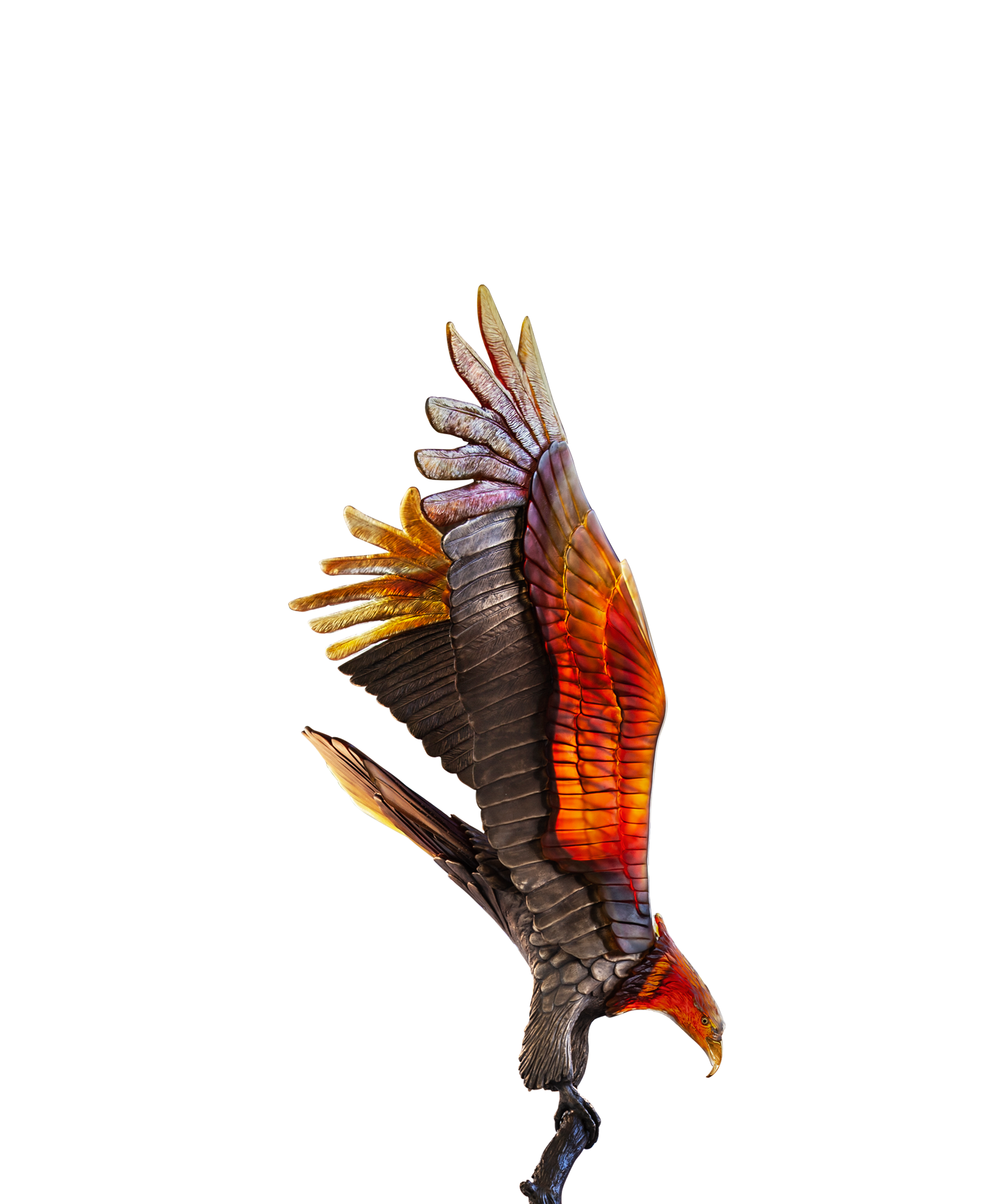 Aigle royal prestige de Madeleine Van der Knoop 8ex