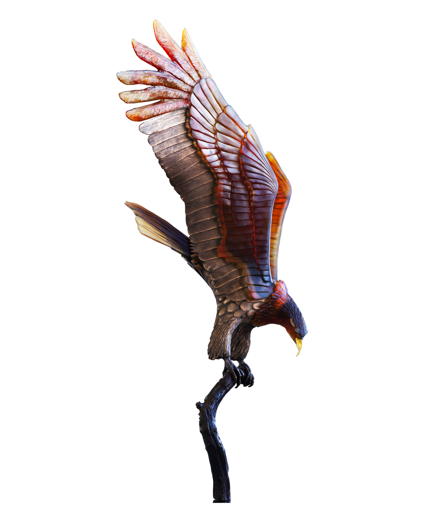 Aigle royal prestige de Madeleine Van der Knoop 8ex