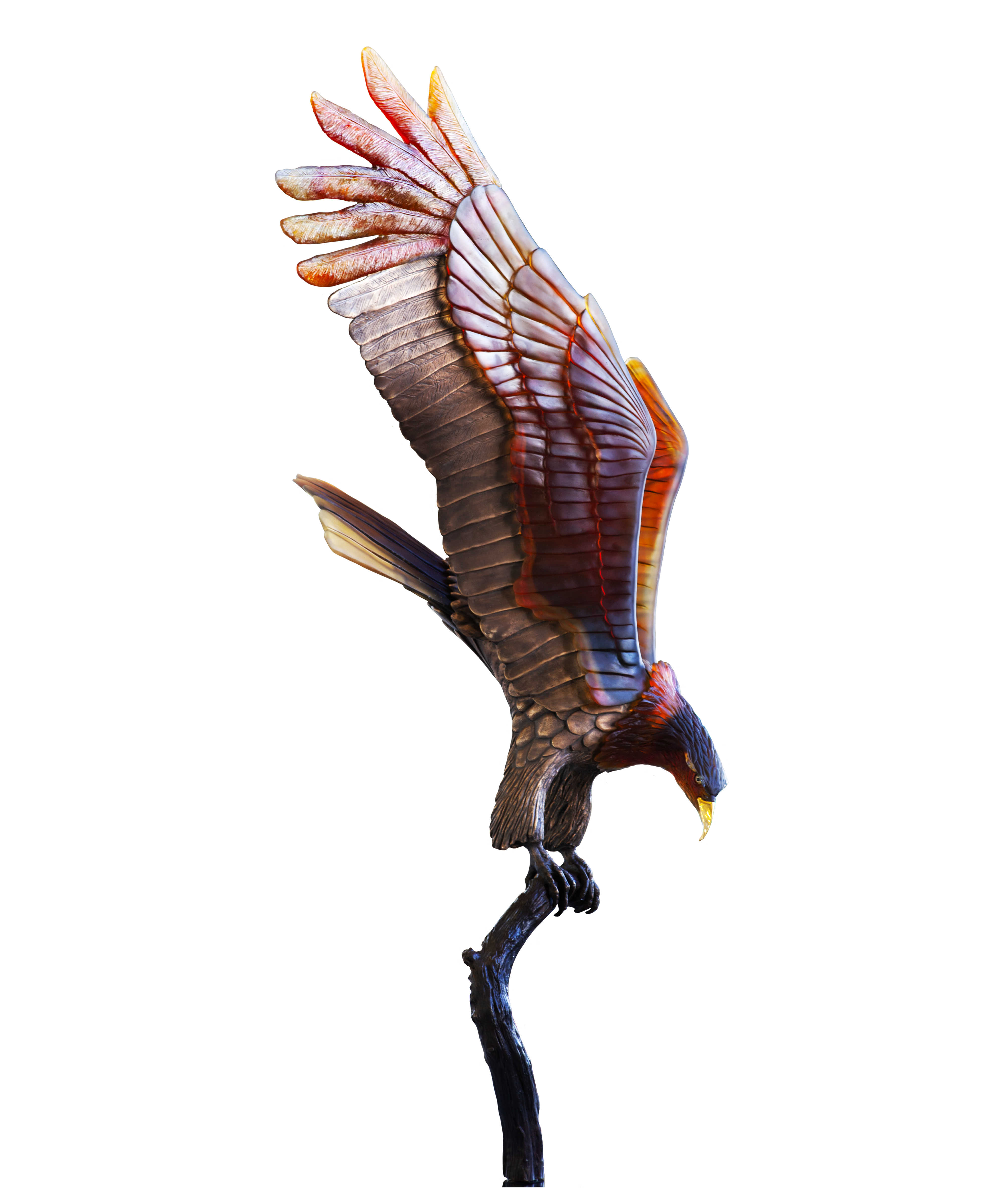 Aigle royal prestige de Madeleine Van der Knoop 8ex