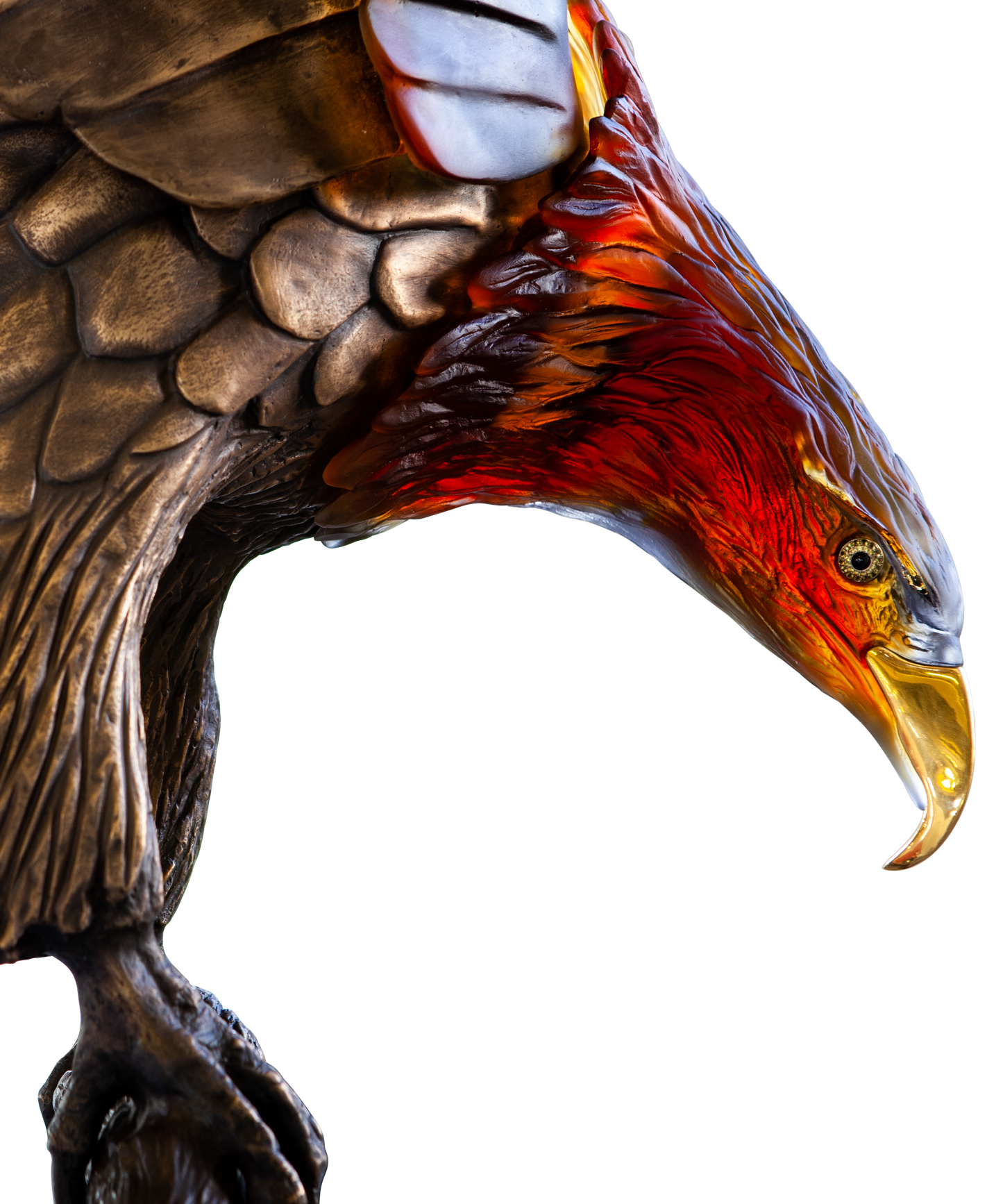 Aigle royal prestige de Madeleine Van der Knoop 8ex