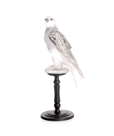 Faucon Gerfaut White by Madeleine Van der Knoop 50ex