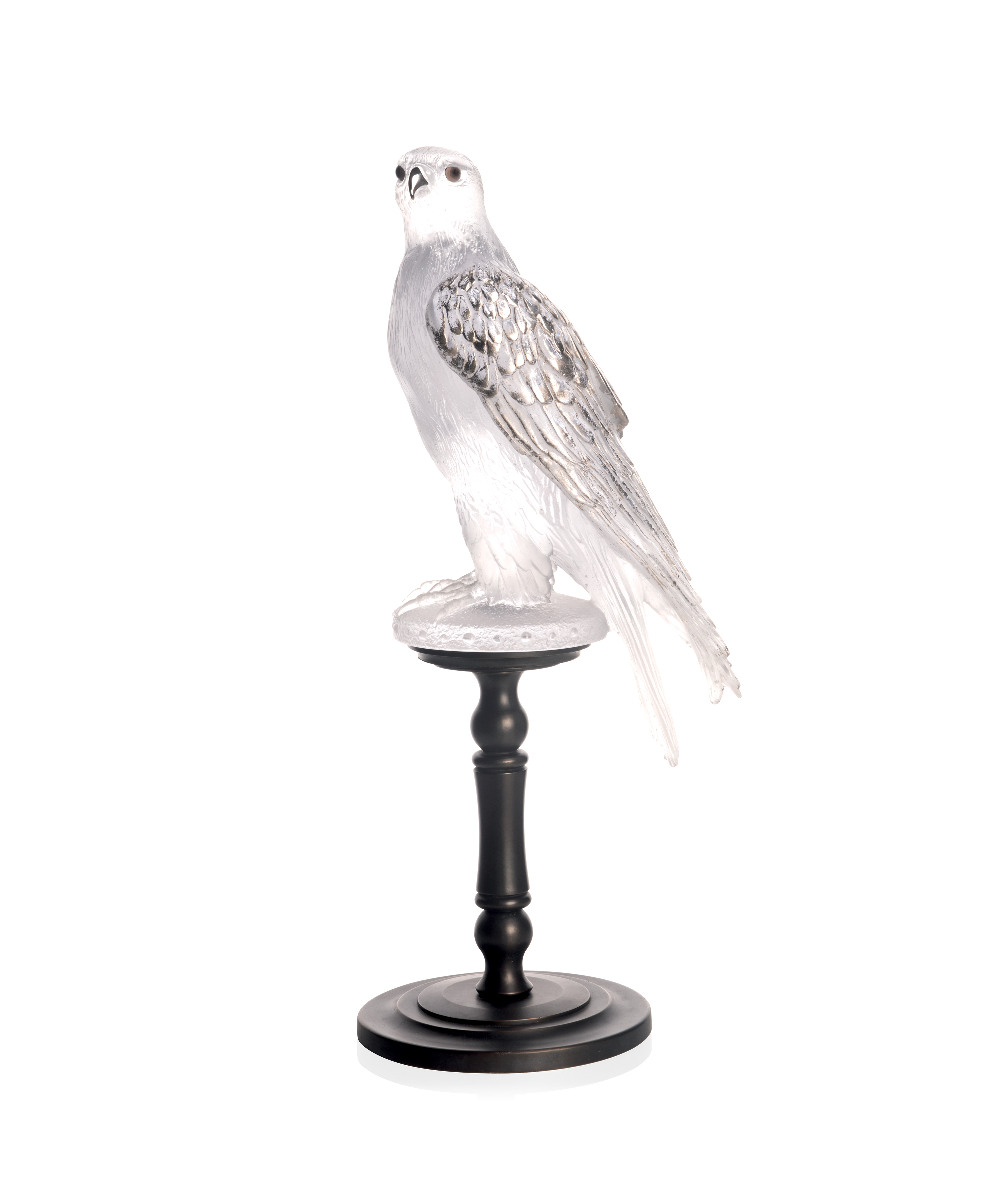 Faucon Gerfaut Blanc de Madeleine Van der Knoop 50ex