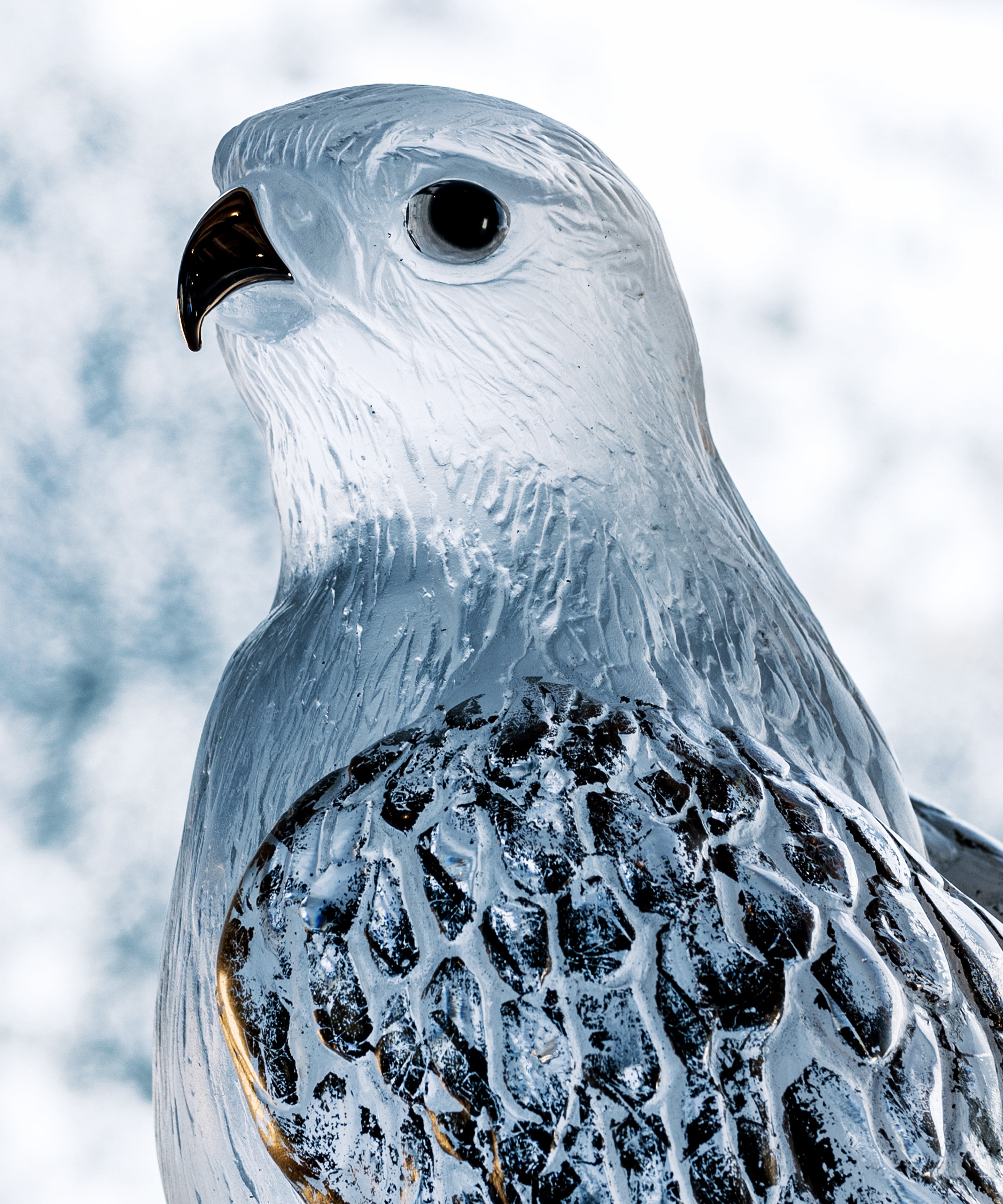 Faucon Gerfaut Blanc de Madeleine Van der Knoop 50ex