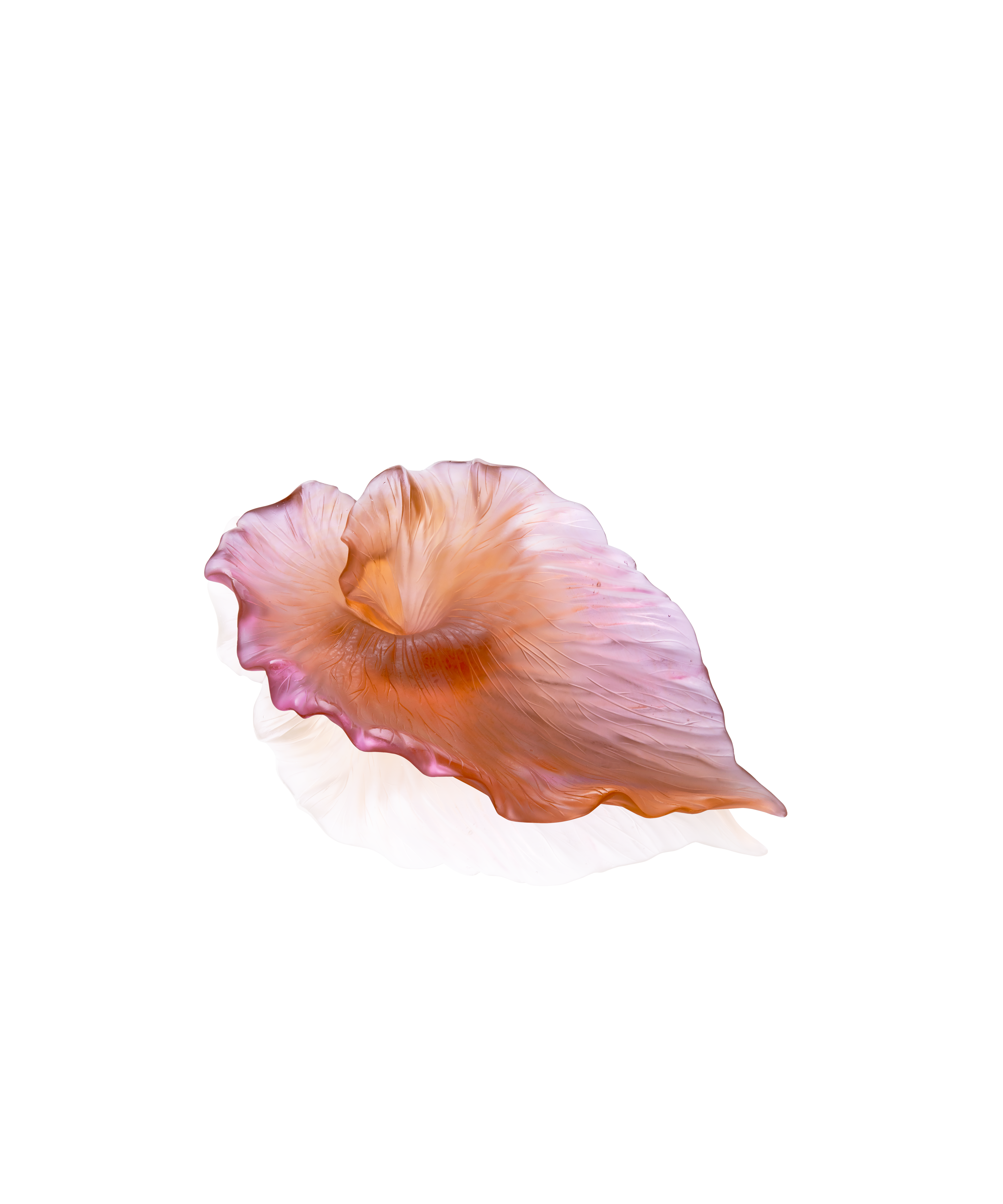 Arum Coupe Ambre-rose