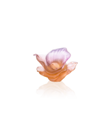 Arum Fleur décorative Ambre-rose