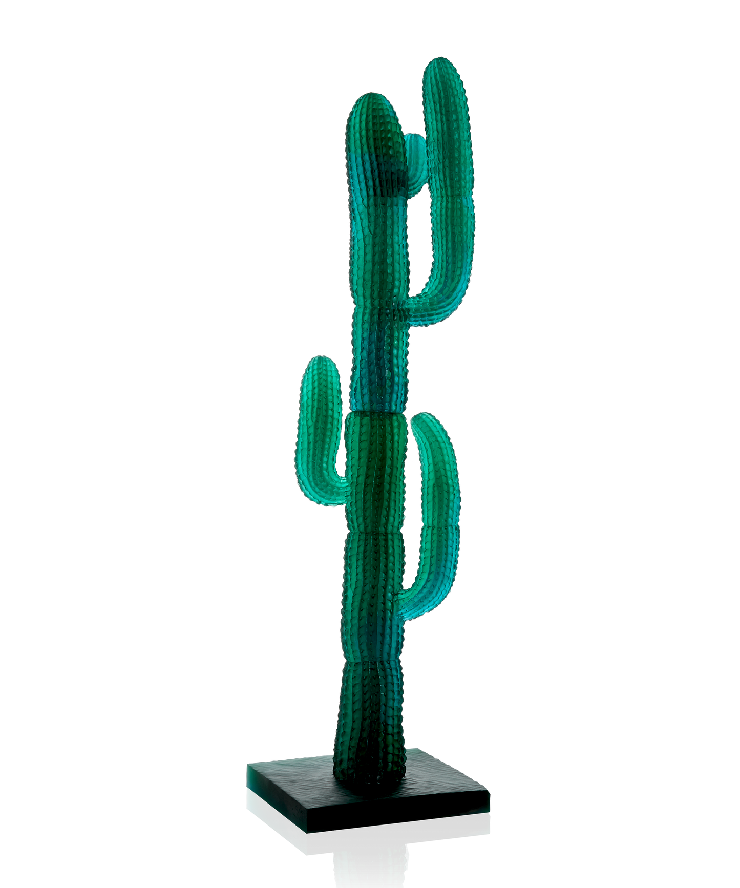 Jardin de Cactus Cactus XL Vert de Emilio Robba 125ex