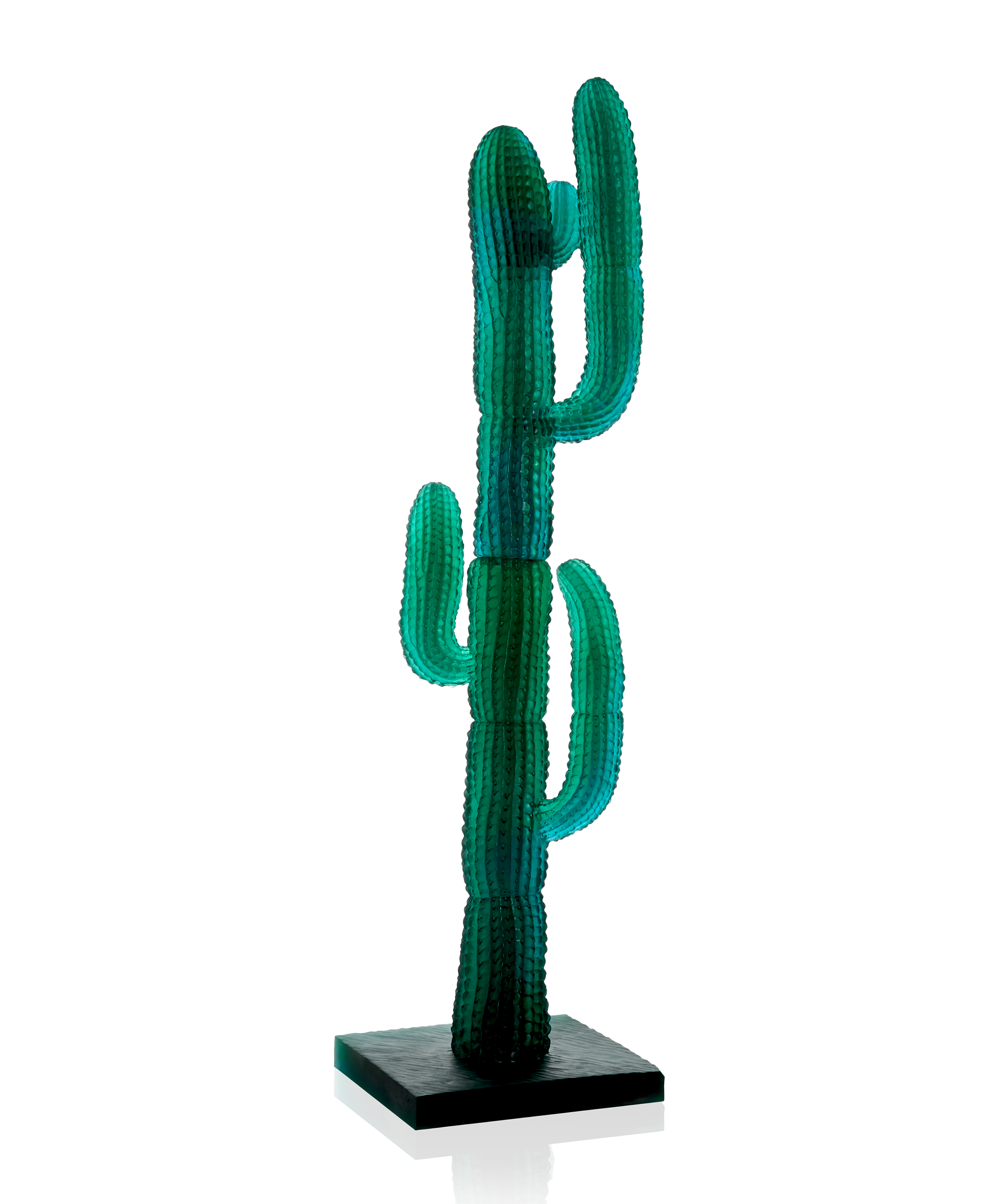 Jardin de Cactus Cactus XL Vert de Emilio Robba 125ex