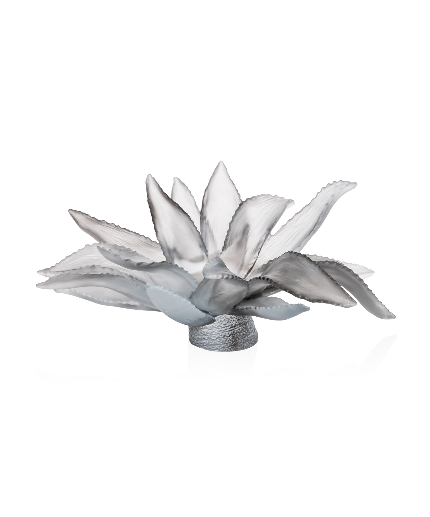 Jardin de Cactus Centre de table Gris de Emilio Robba 375ex