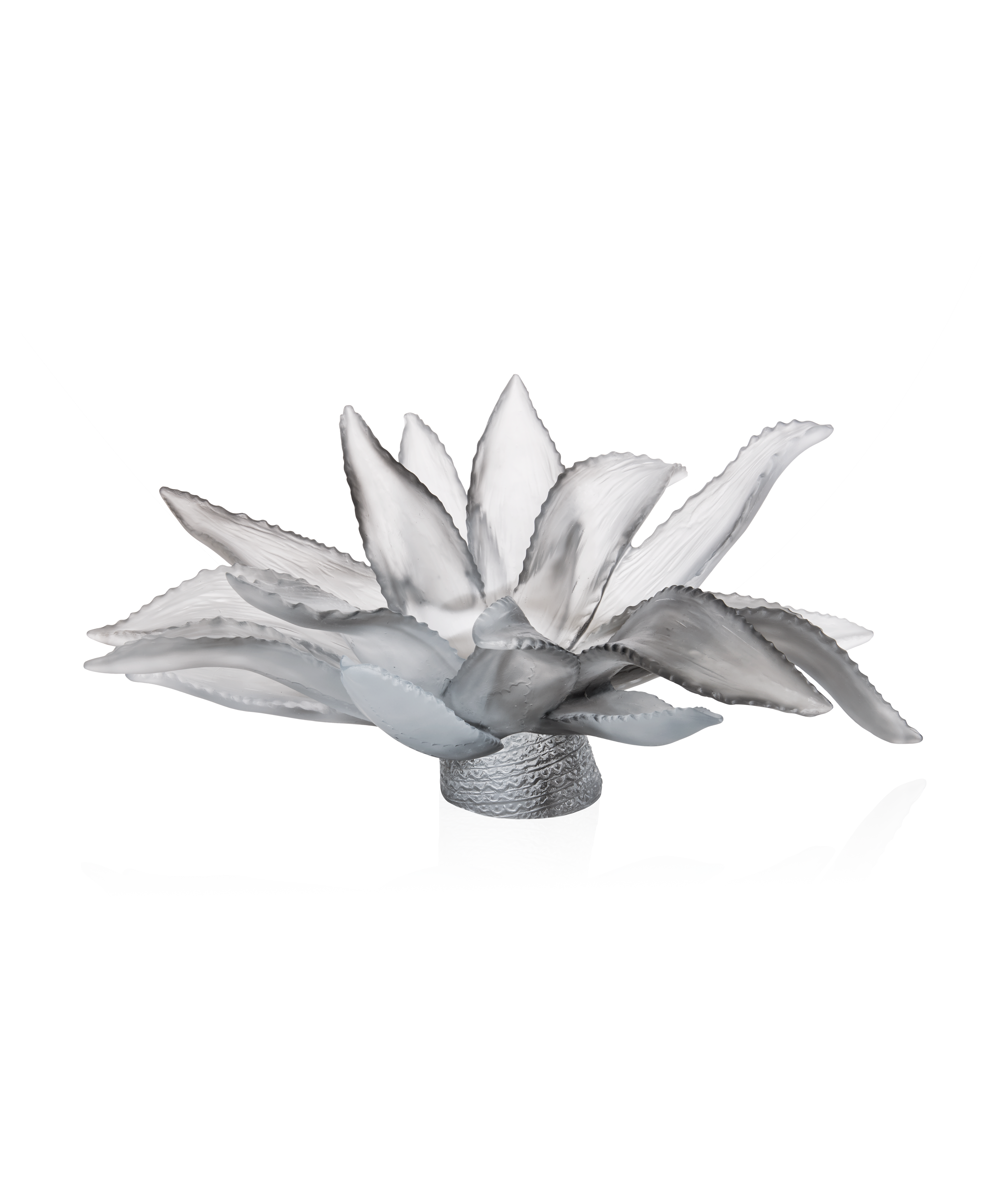 Jardin de Cactus Centre de table Gris de Emilio Robba 375ex