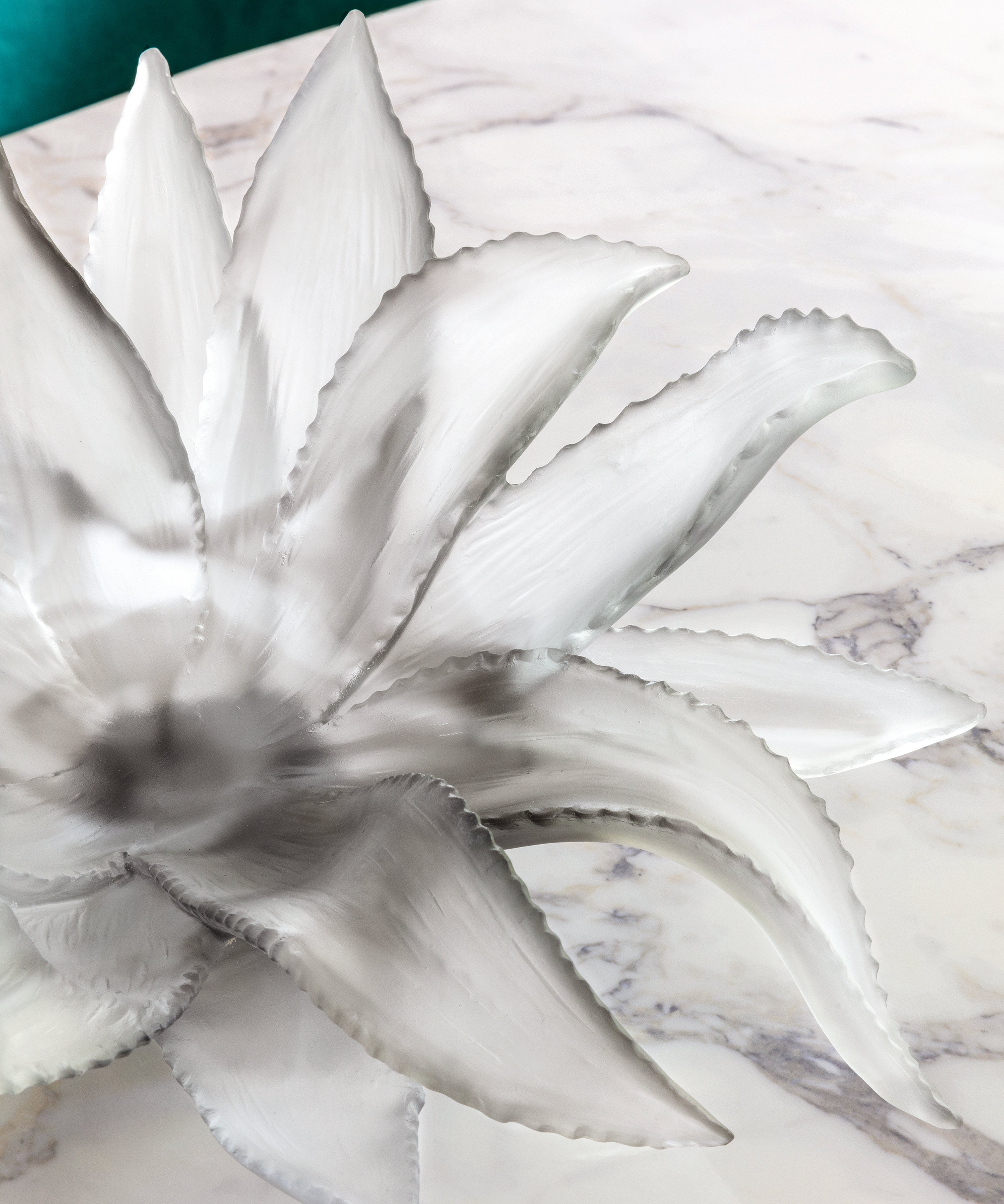 Jardin de Cactus Centre de table Gris de Emilio Robba 375ex