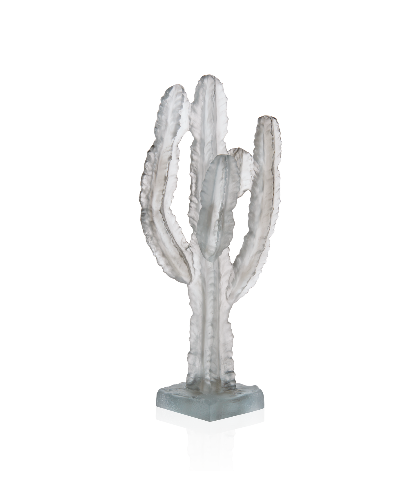 Jardin de Cactus Cactus Gris de Emilio Robba