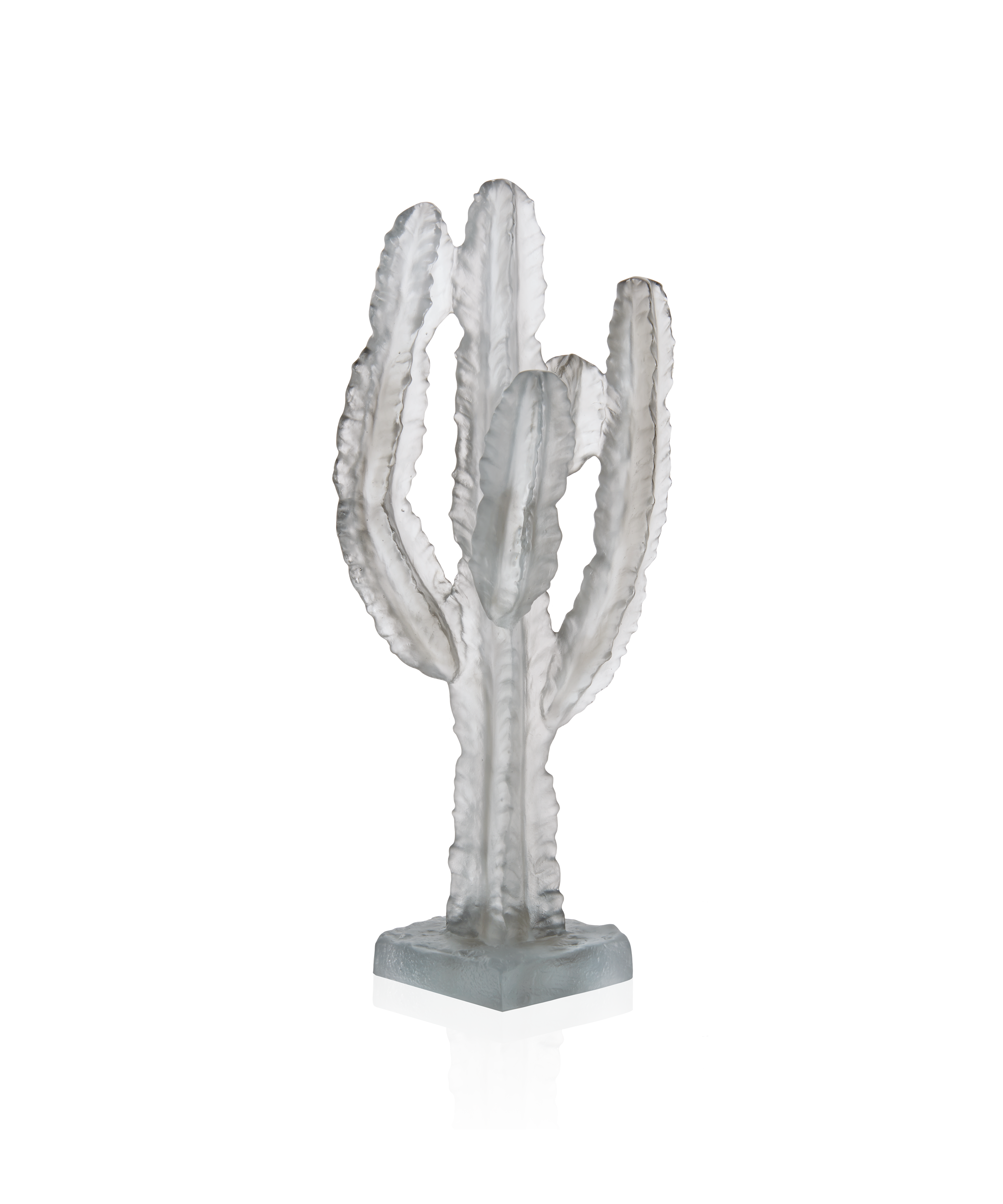 Jardin de Cactus Cactus Gris de Emilio Robba