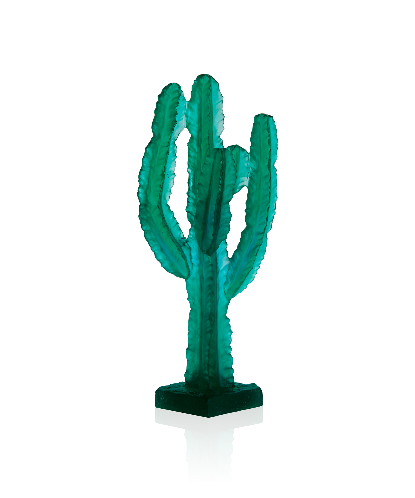Jardin de Cactus Cactus Vert de Emilio Robba