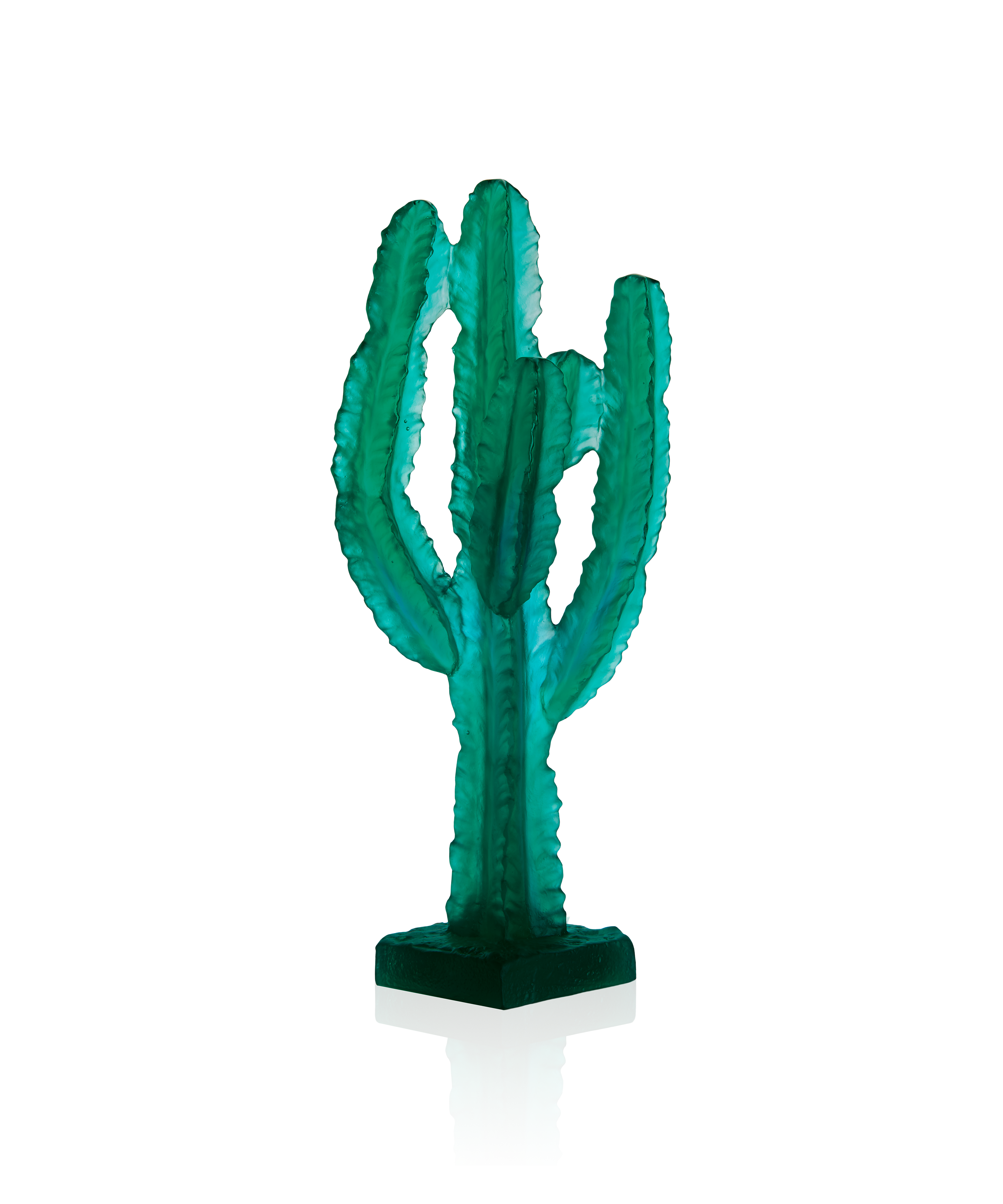 Jardin de Cactus Cactus Vert de Emilio Robba