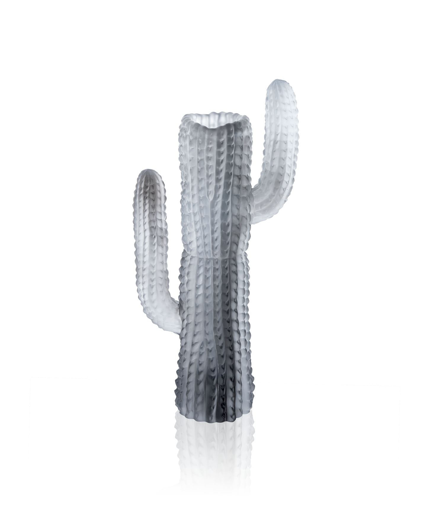 Jardin de Cactus Vase Gris de Emilio Robba