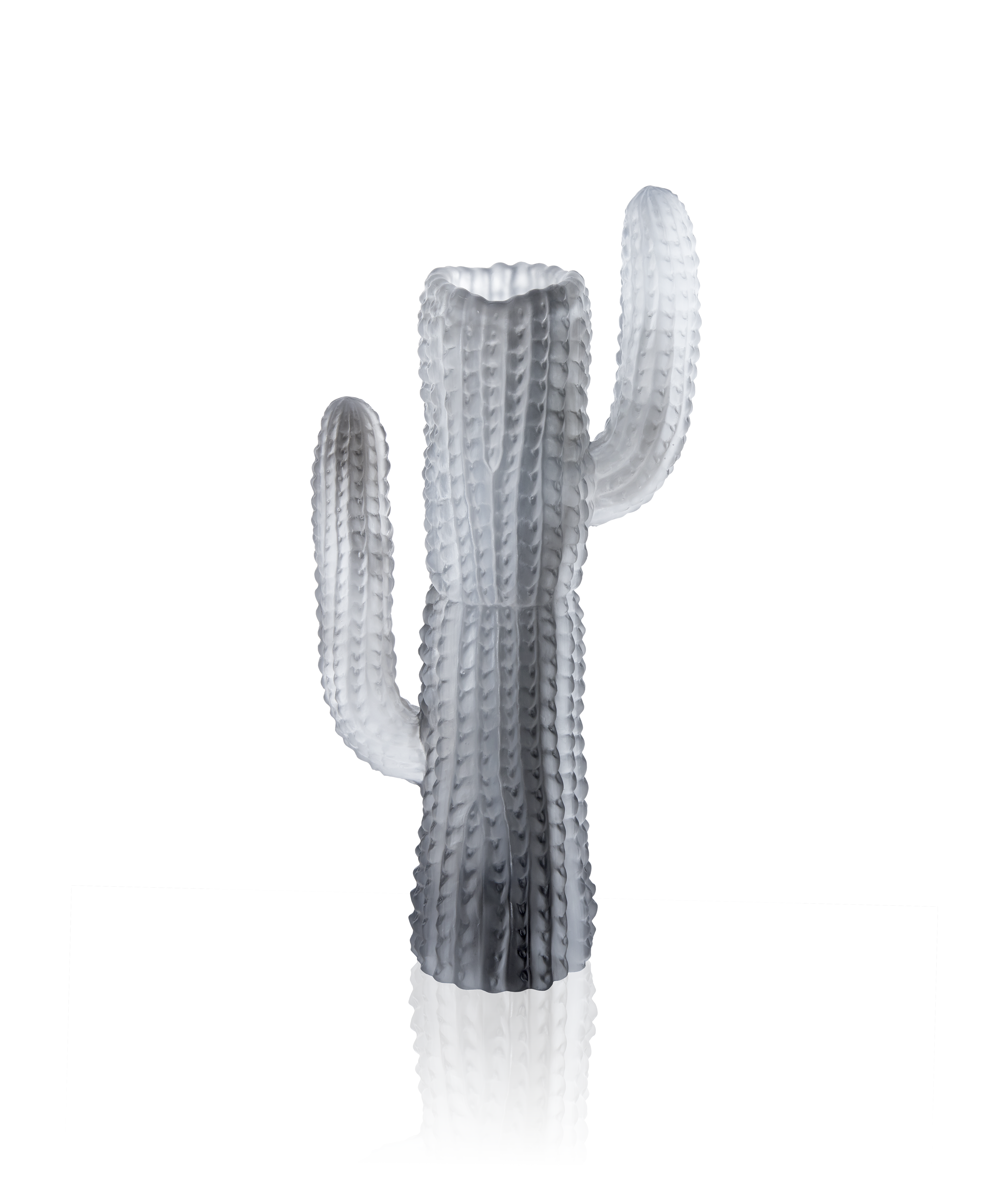 Jardin de Cactus Vase Gris de Emilio Robba