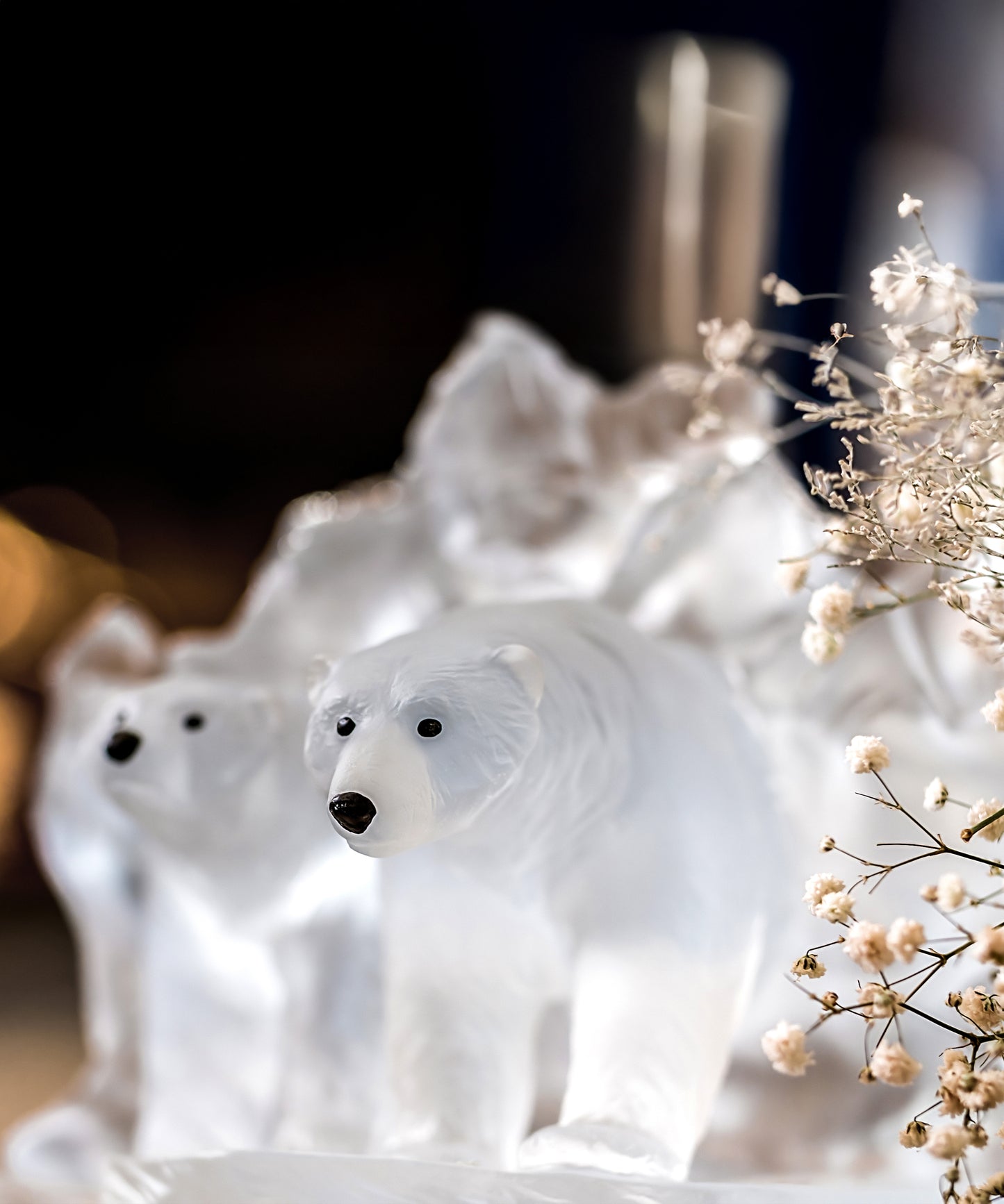 Arktos by Kyriakos Kaziras 250ex