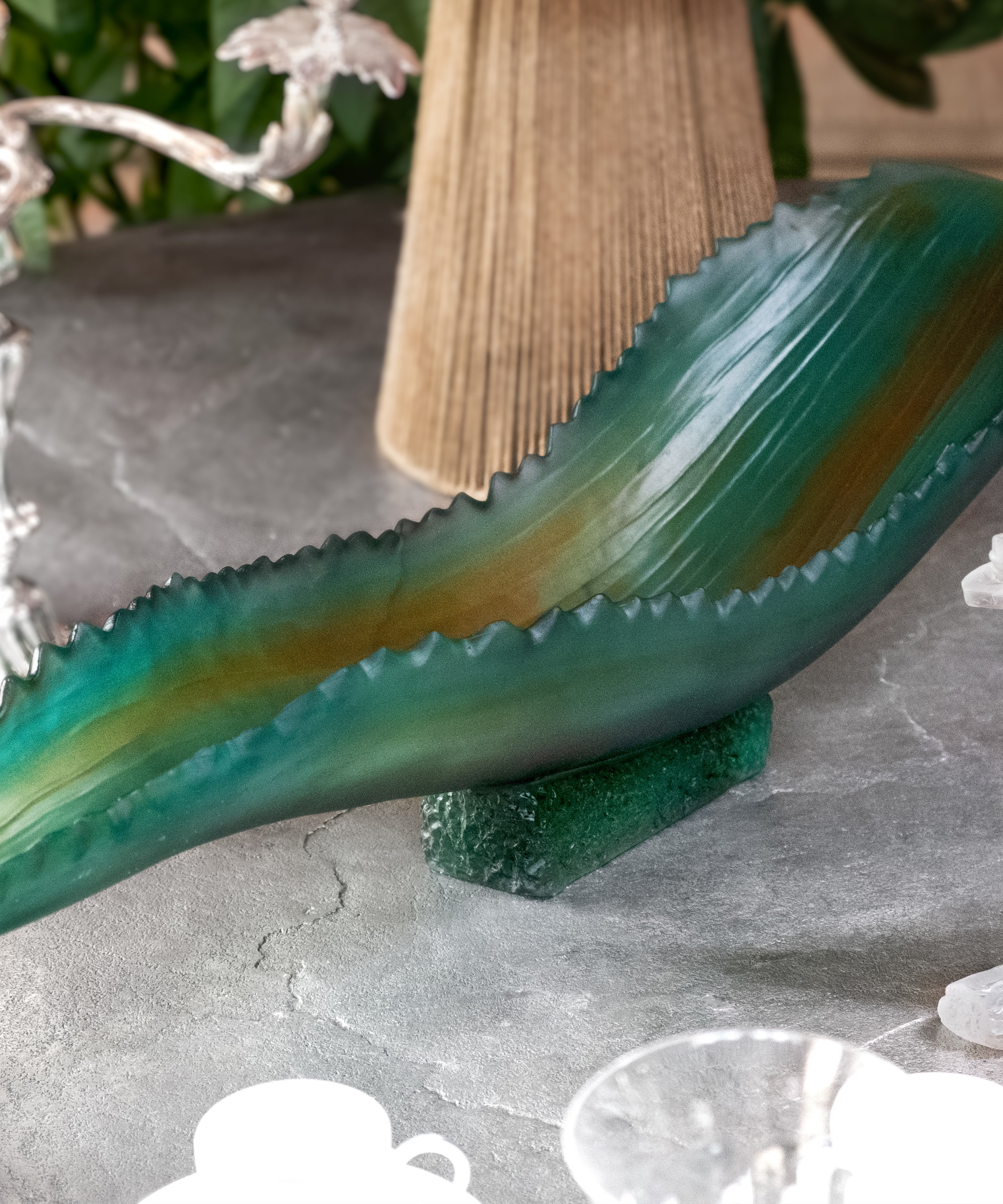 Jardin de Cactus Coupe Verte de Emilio Robba