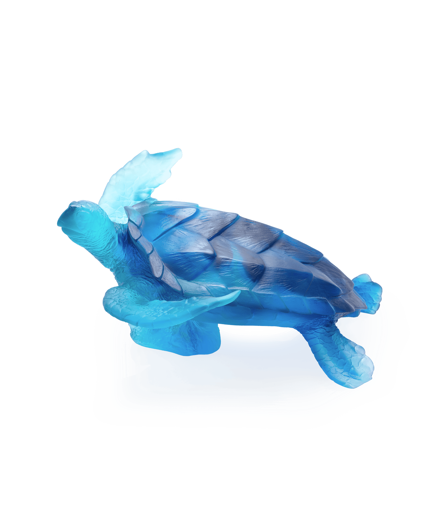 Mer de Corail Tortue de mer grand modèle Bleue