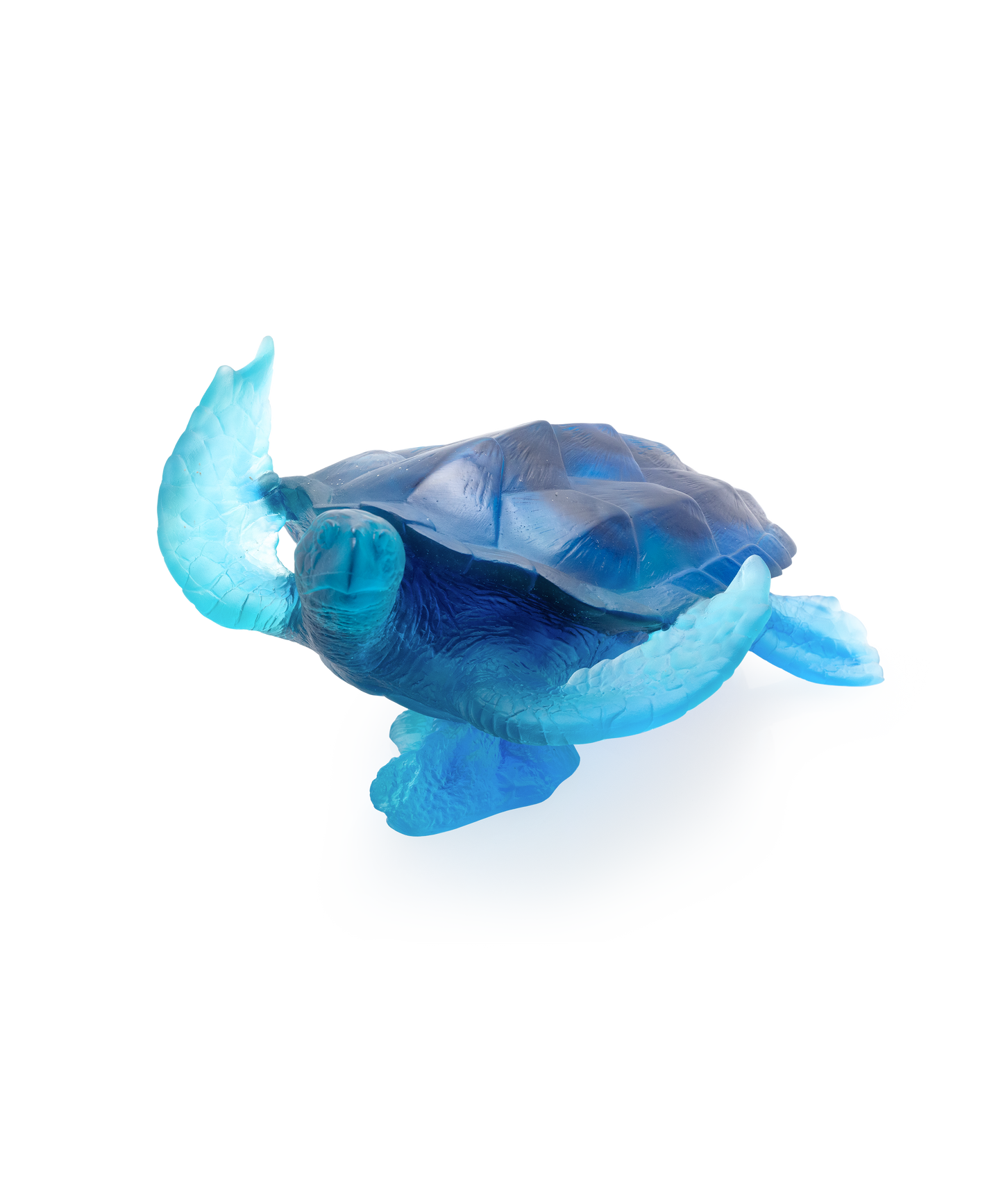 Mer de Corail Tortue de mer grand modèle Bleue