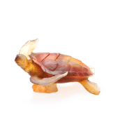 Mer de Corail Tortue de mer grand modèle Ambre gris