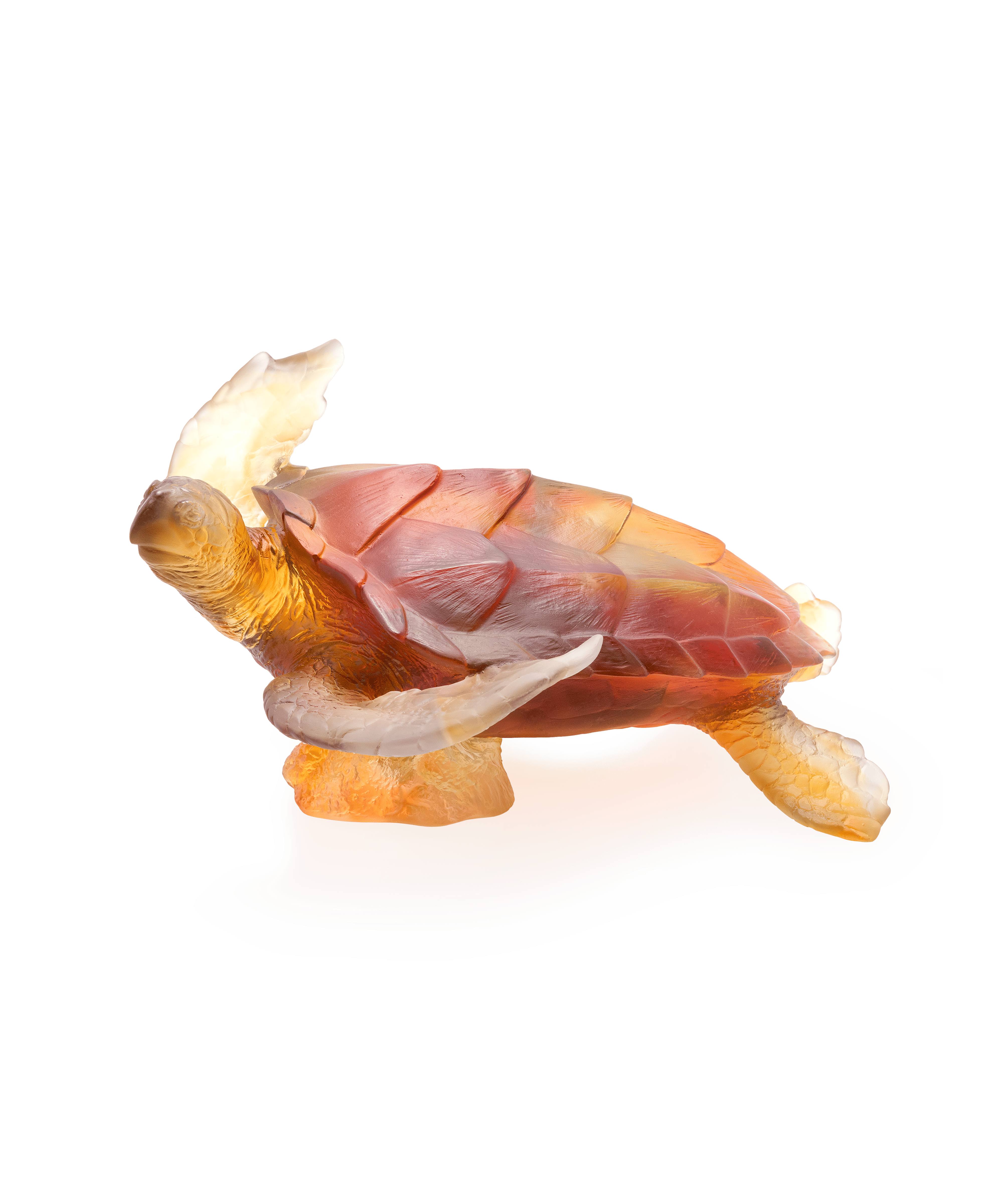 Mer de Corail Tortue de mer grand modèle Ambre gris