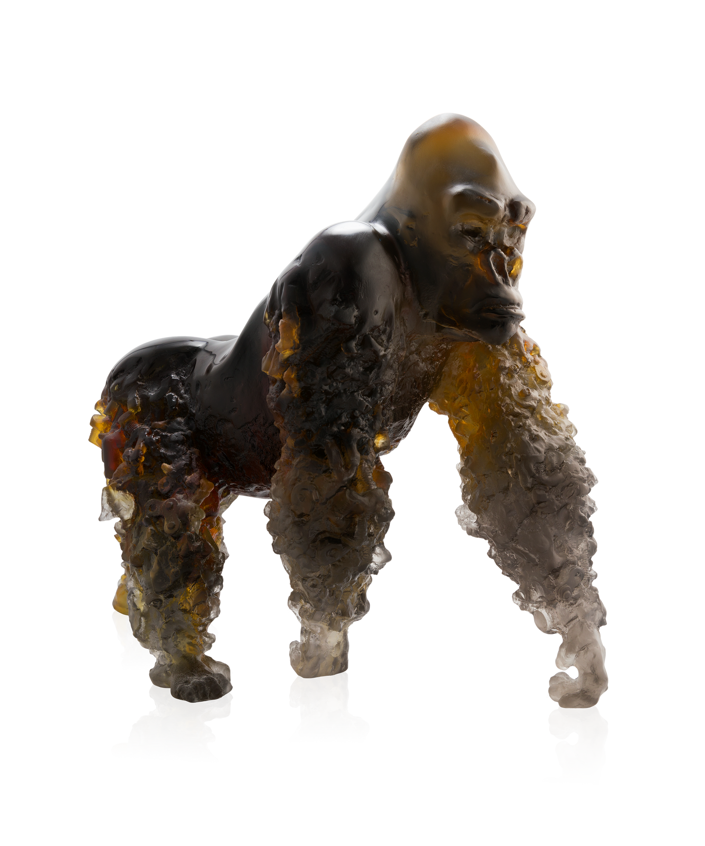 Gorille à dos argenté Amber grey by Jean-No 125ex