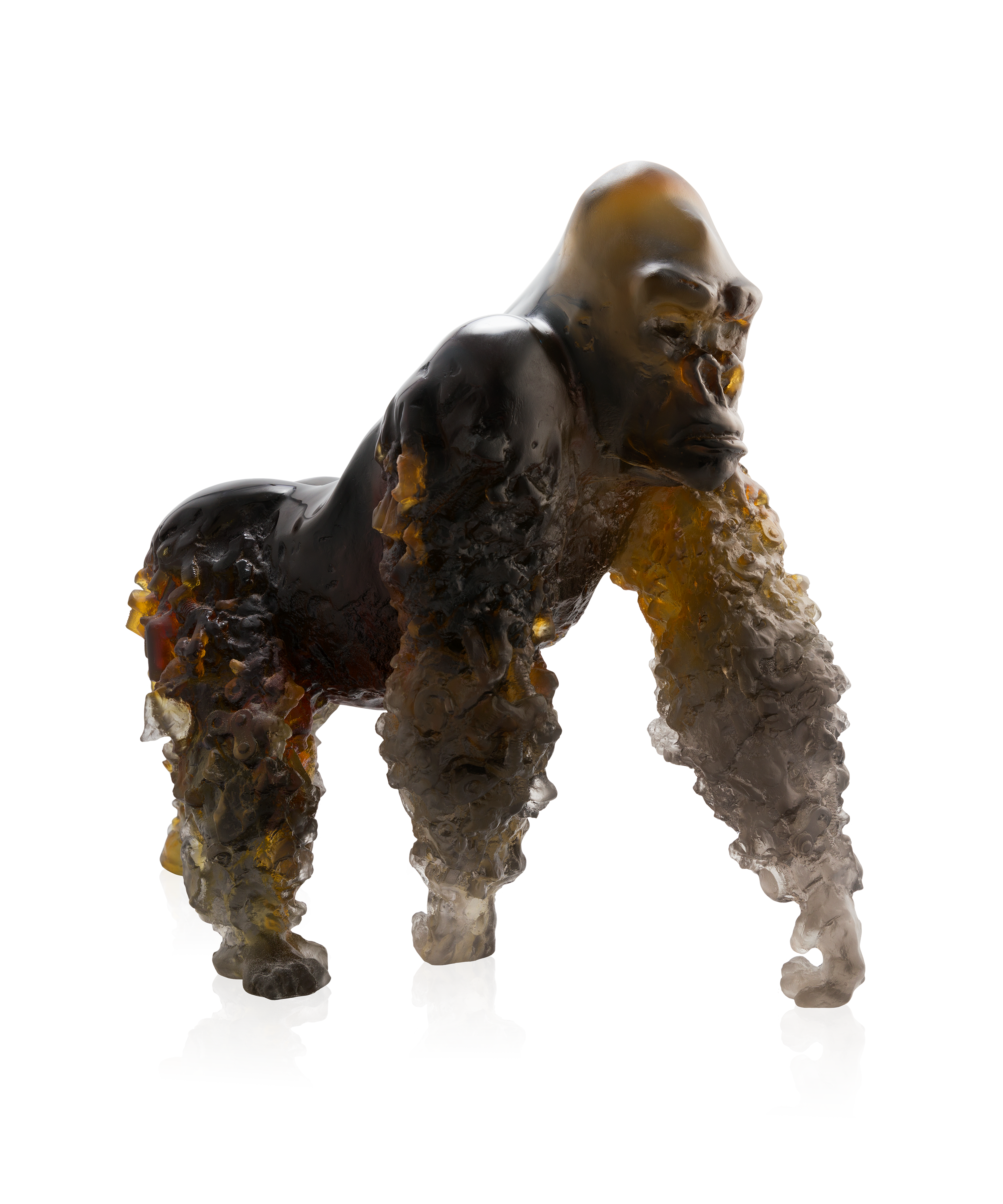 Gorille à dos argenté Ambre gris de Jean-No 125ex