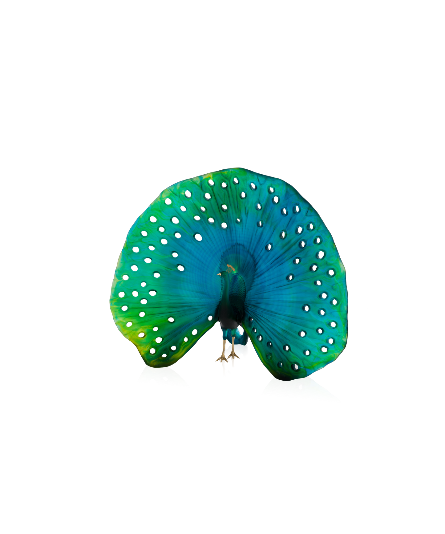 Parade du paon de Madeleine Van der Knoop 50ex