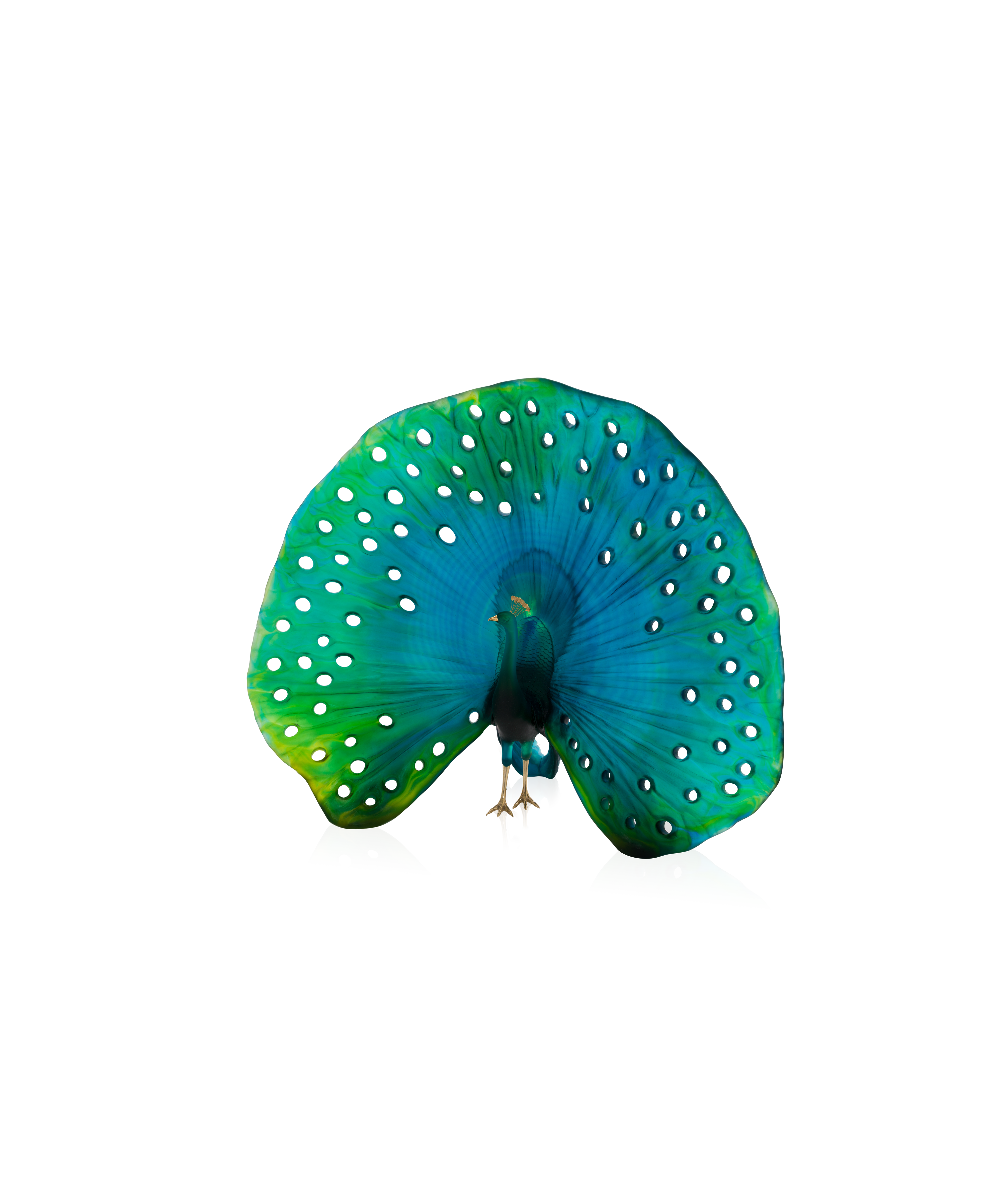 Parade du paon de Madeleine Van der Knoop 50ex