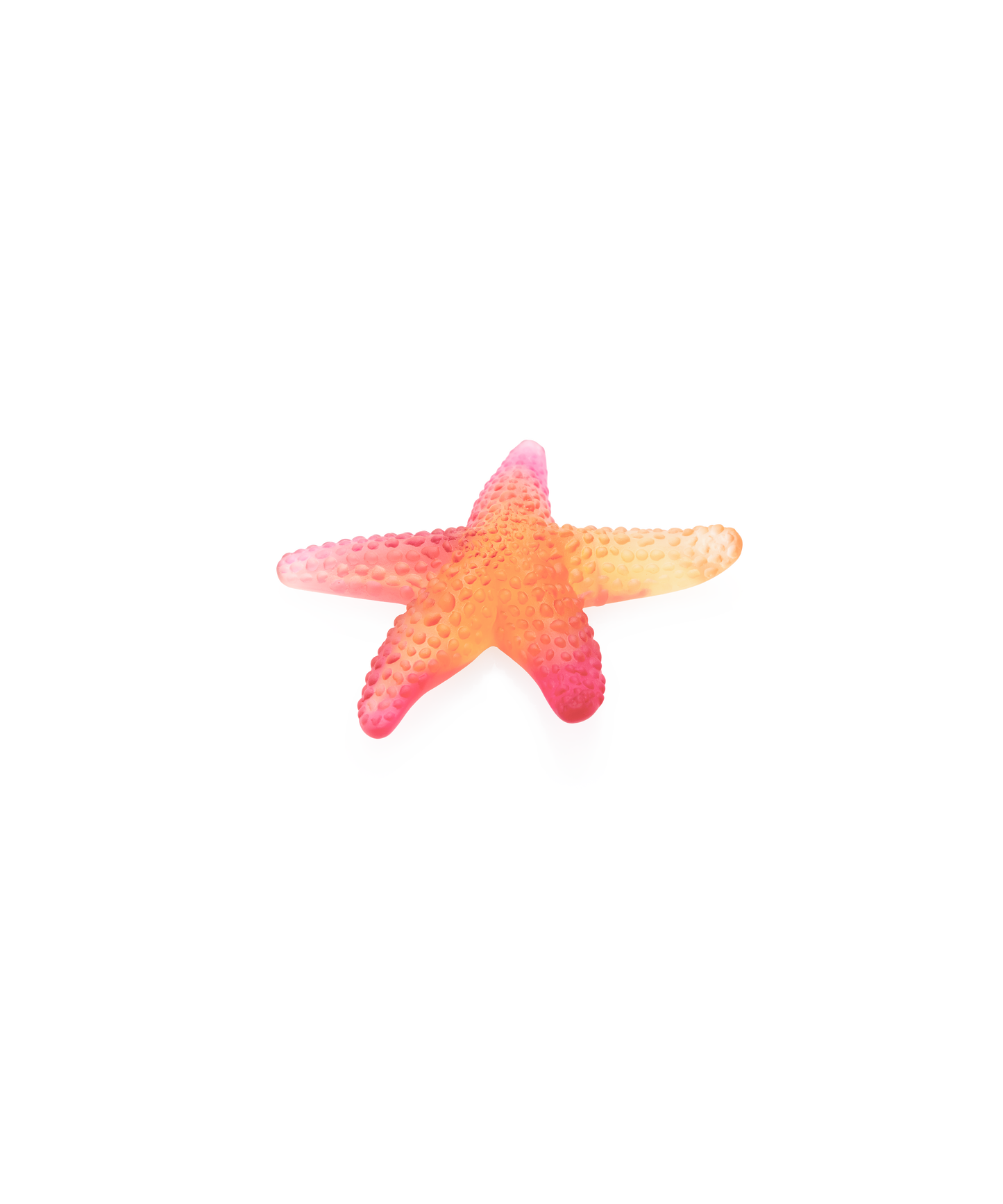 Mer de Corail Etoile de mer Ambre rouge