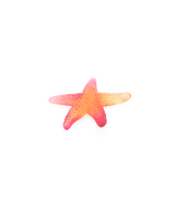 Mer de Corail Etoile de mer Ambre rouge