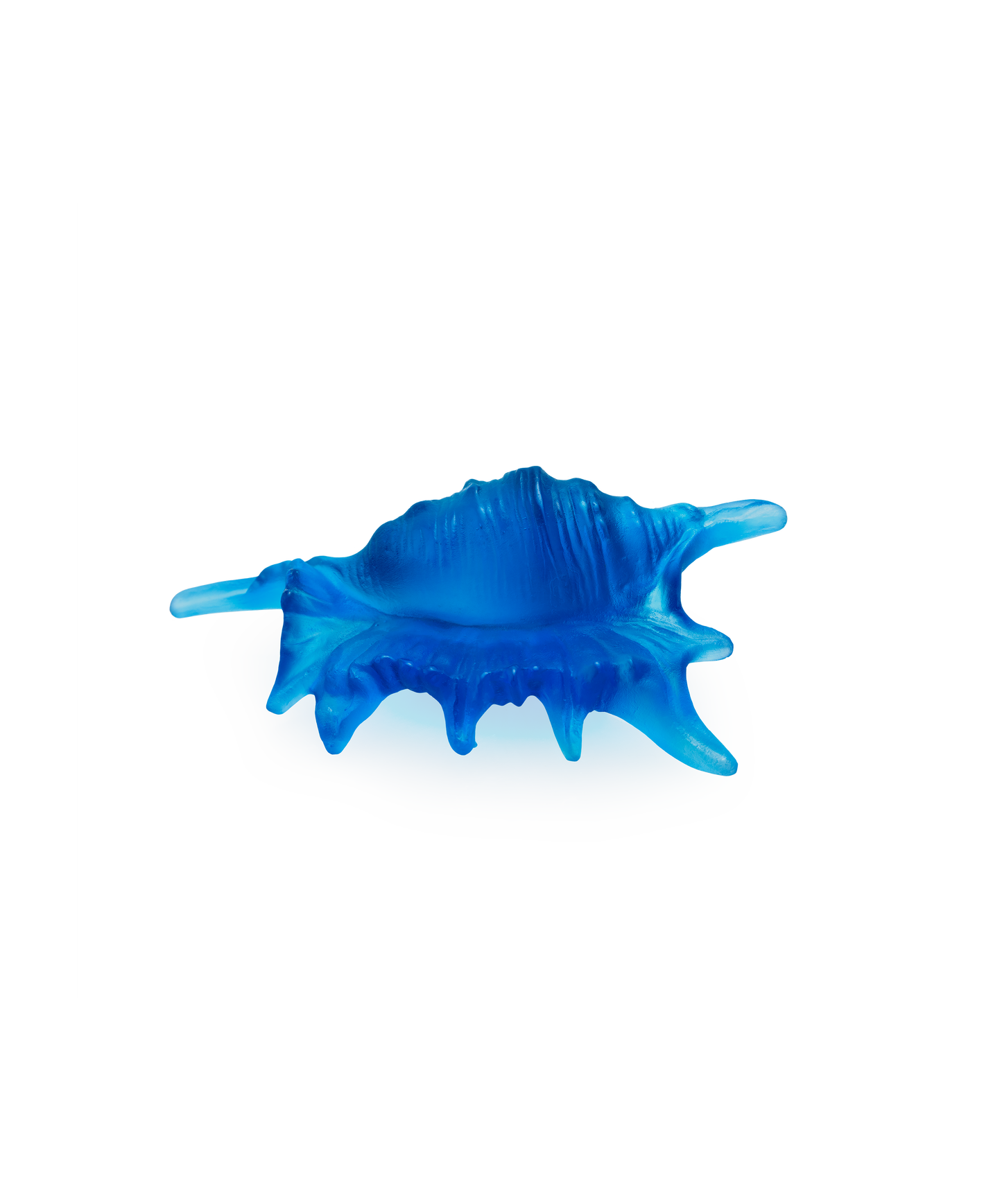 Mer de Corail Small shell