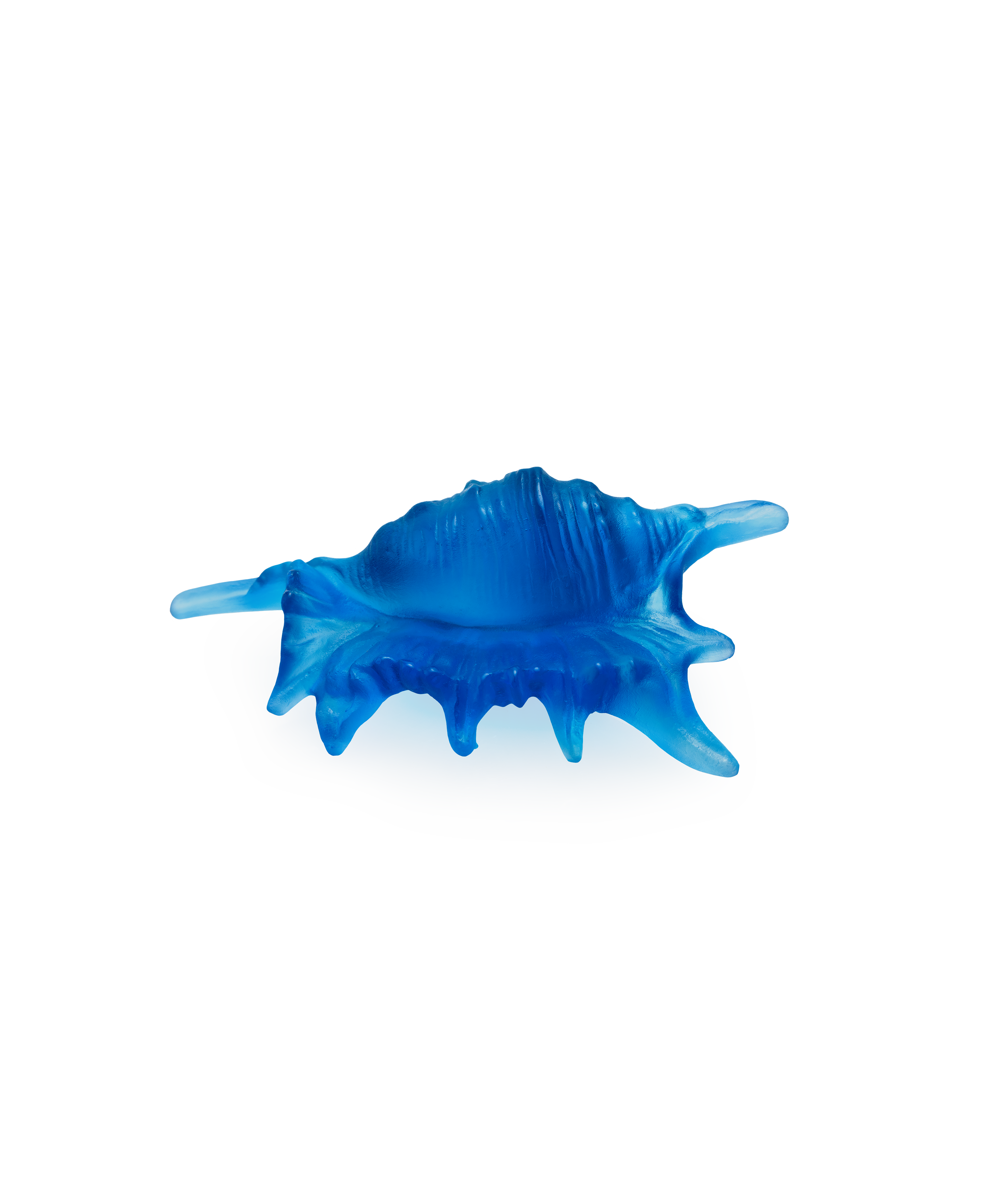 Mer de Corail Coquillage petit modèle