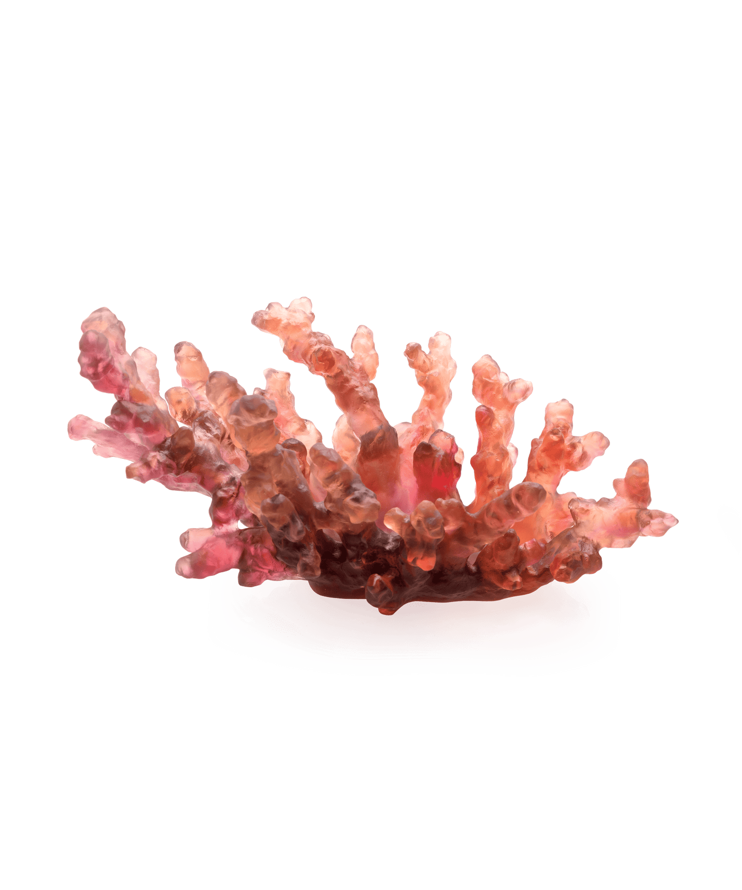 Mer de Corail Coupe moyen modèle Ambre rouge