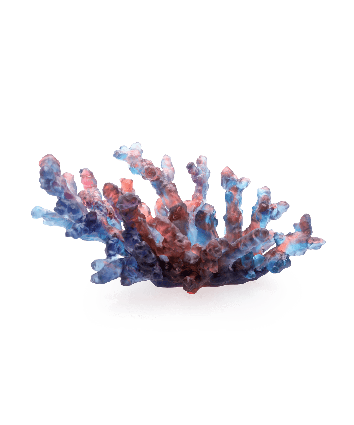 Mer de Corail Coupe moyen modèle Bleue et rouge - Daum